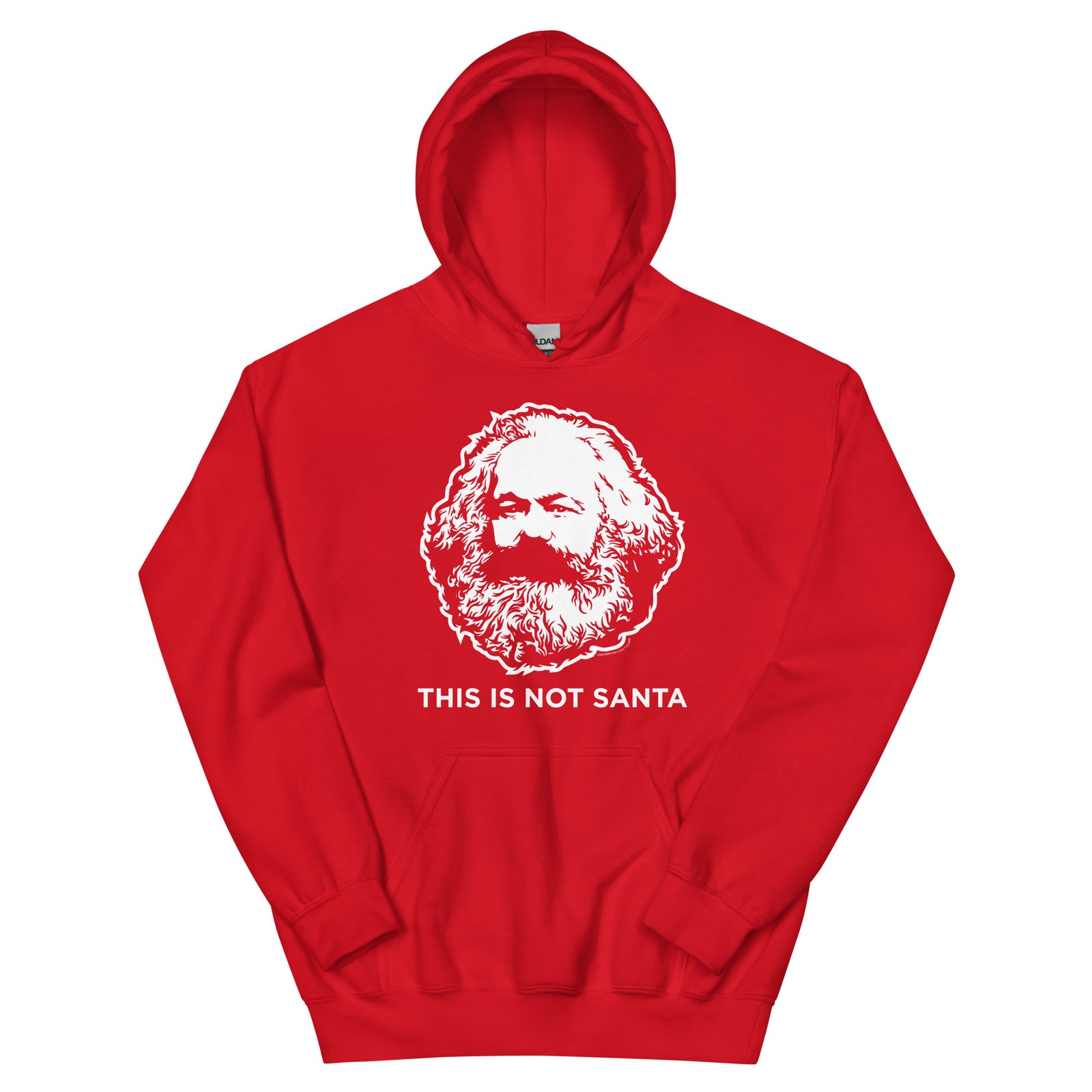 This Is Not Santa Hoodie Sweatshirt