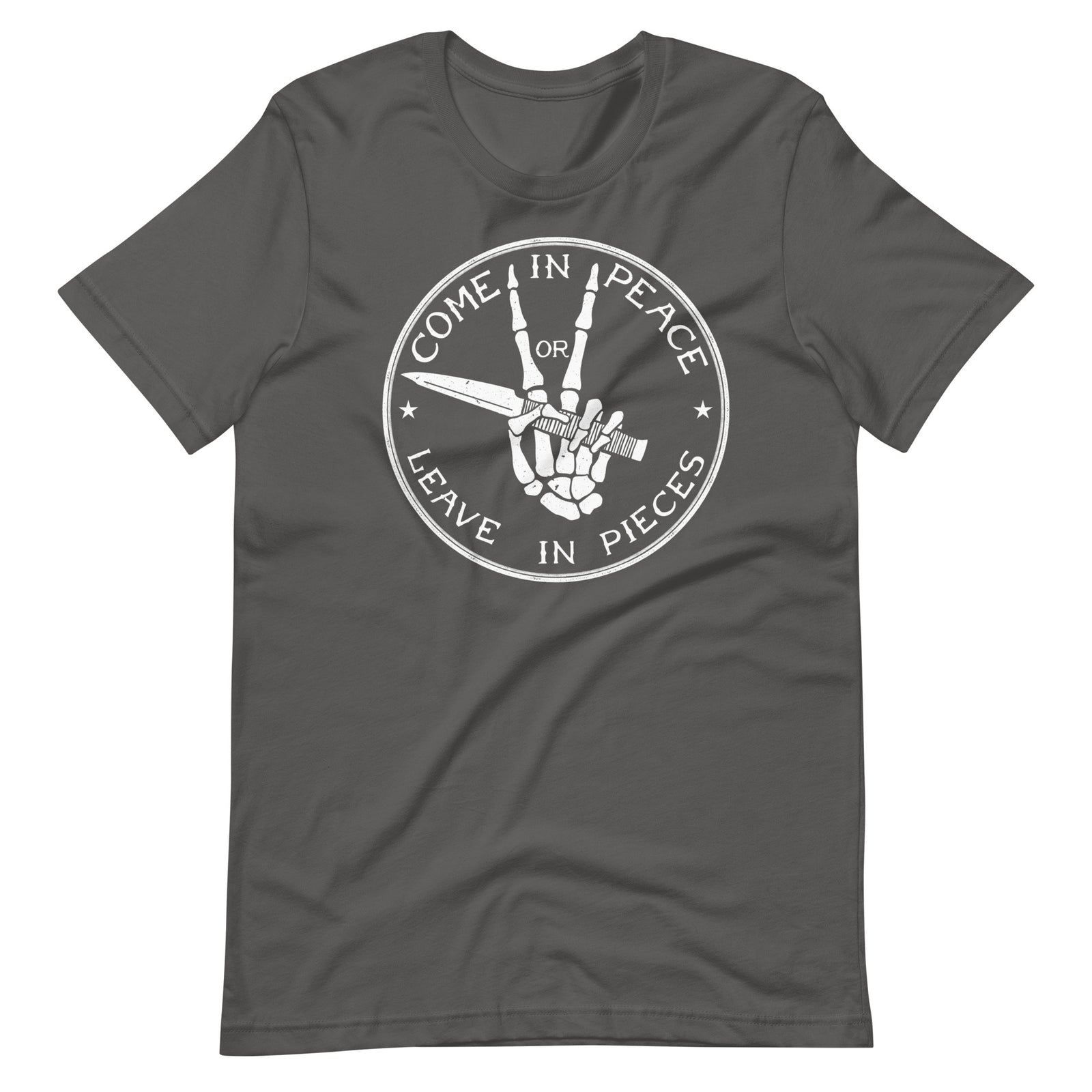 Come In Peace Or Leave In Pieces T-Shirt