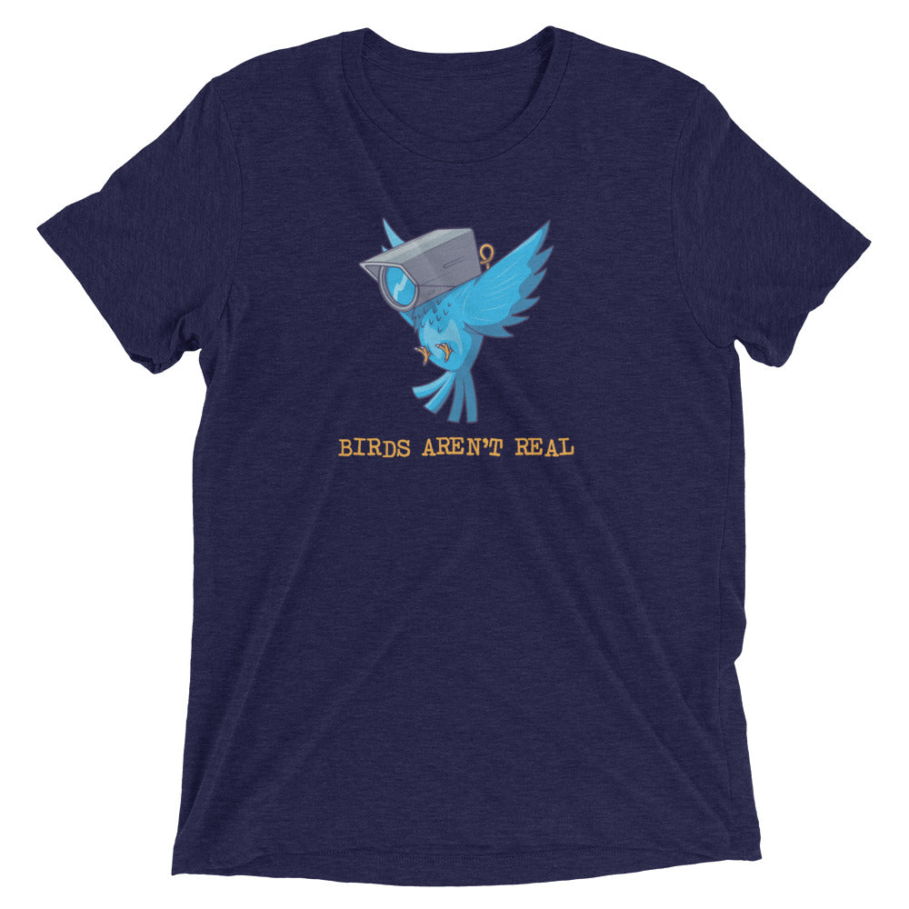 Birds Aren't Real Tri-Blend T-Shirt
