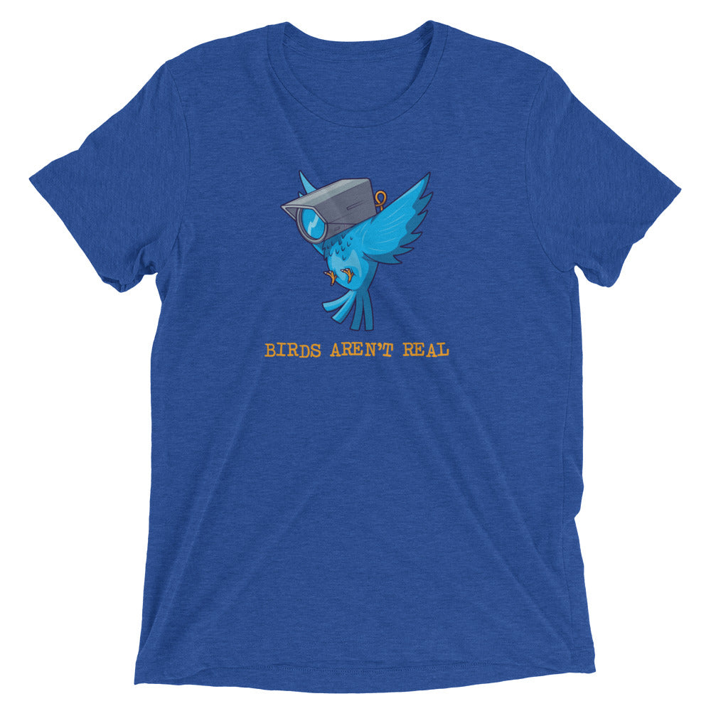 Birds Aren't Real Tri-Blend T-Shirt