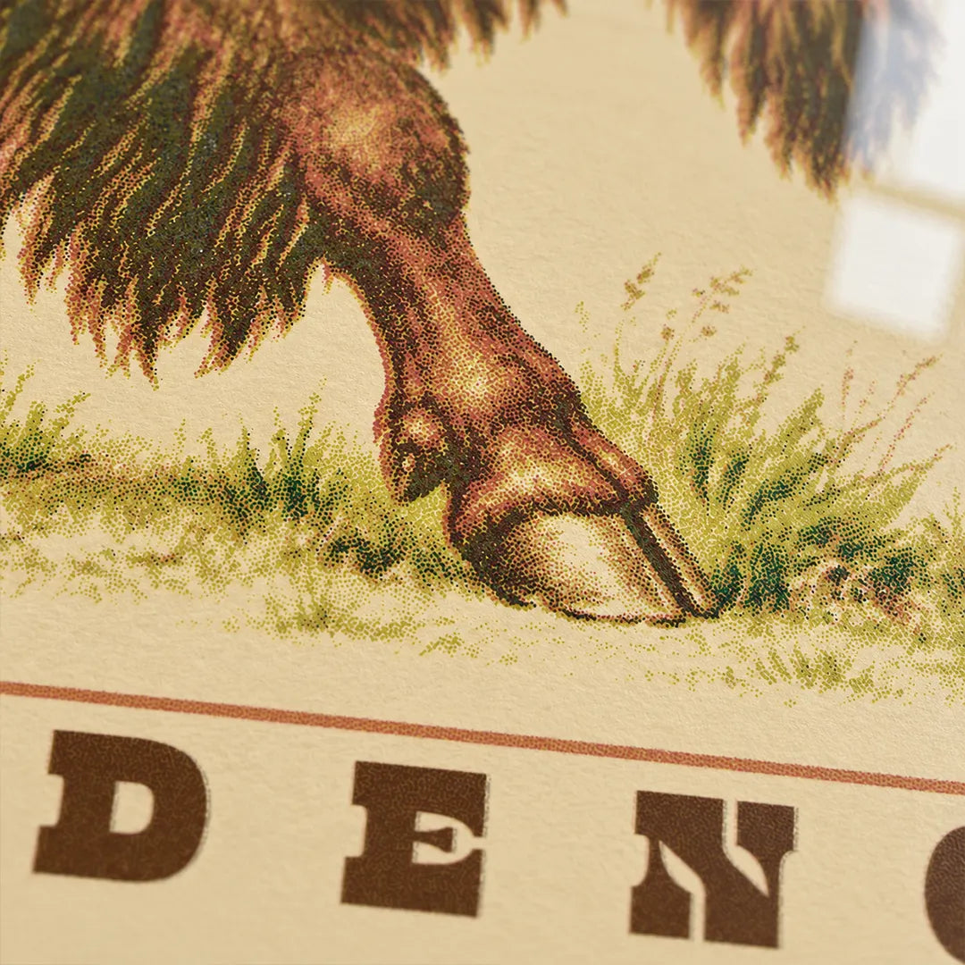 Independence Bison Framed and Matted Print