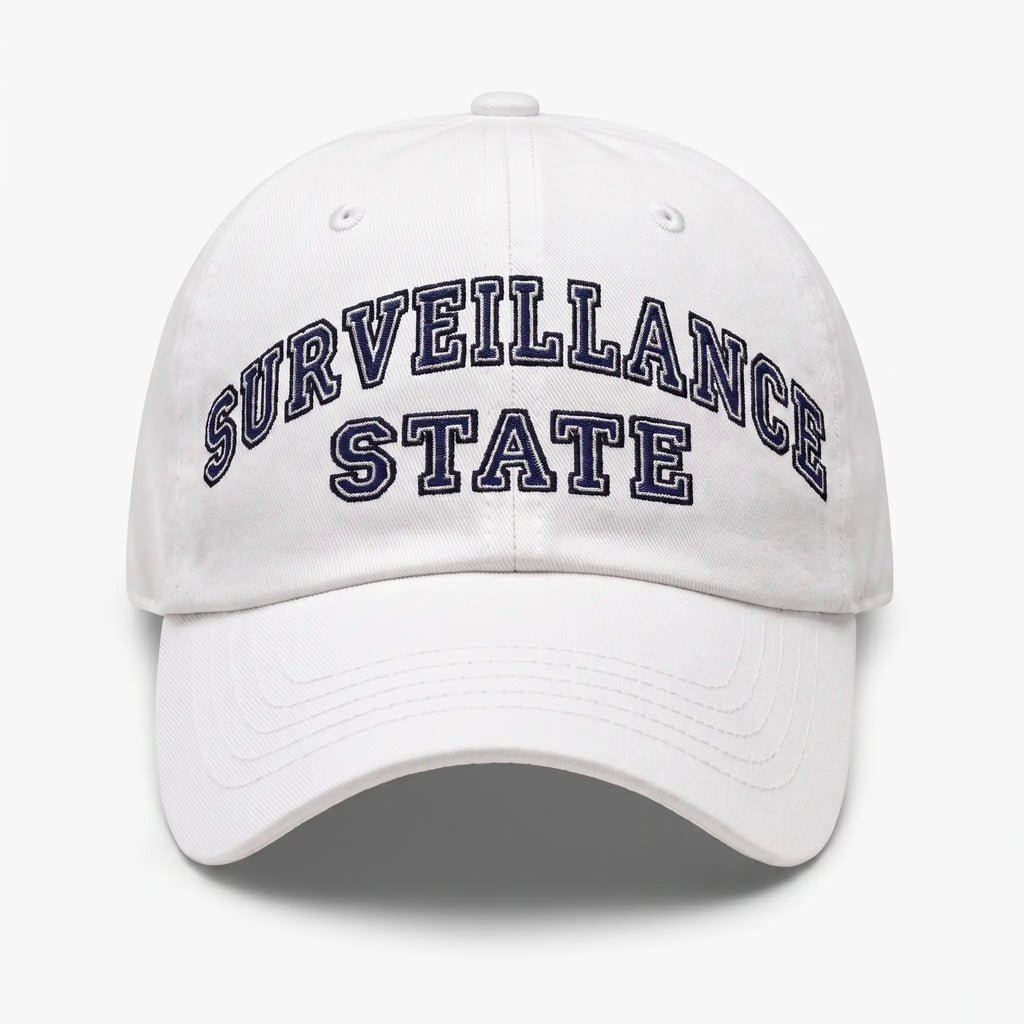 Surveillance State Twill Hat