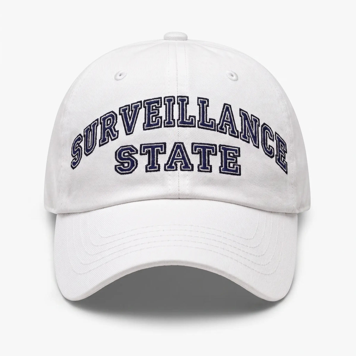 Surveillance State Twill Hat