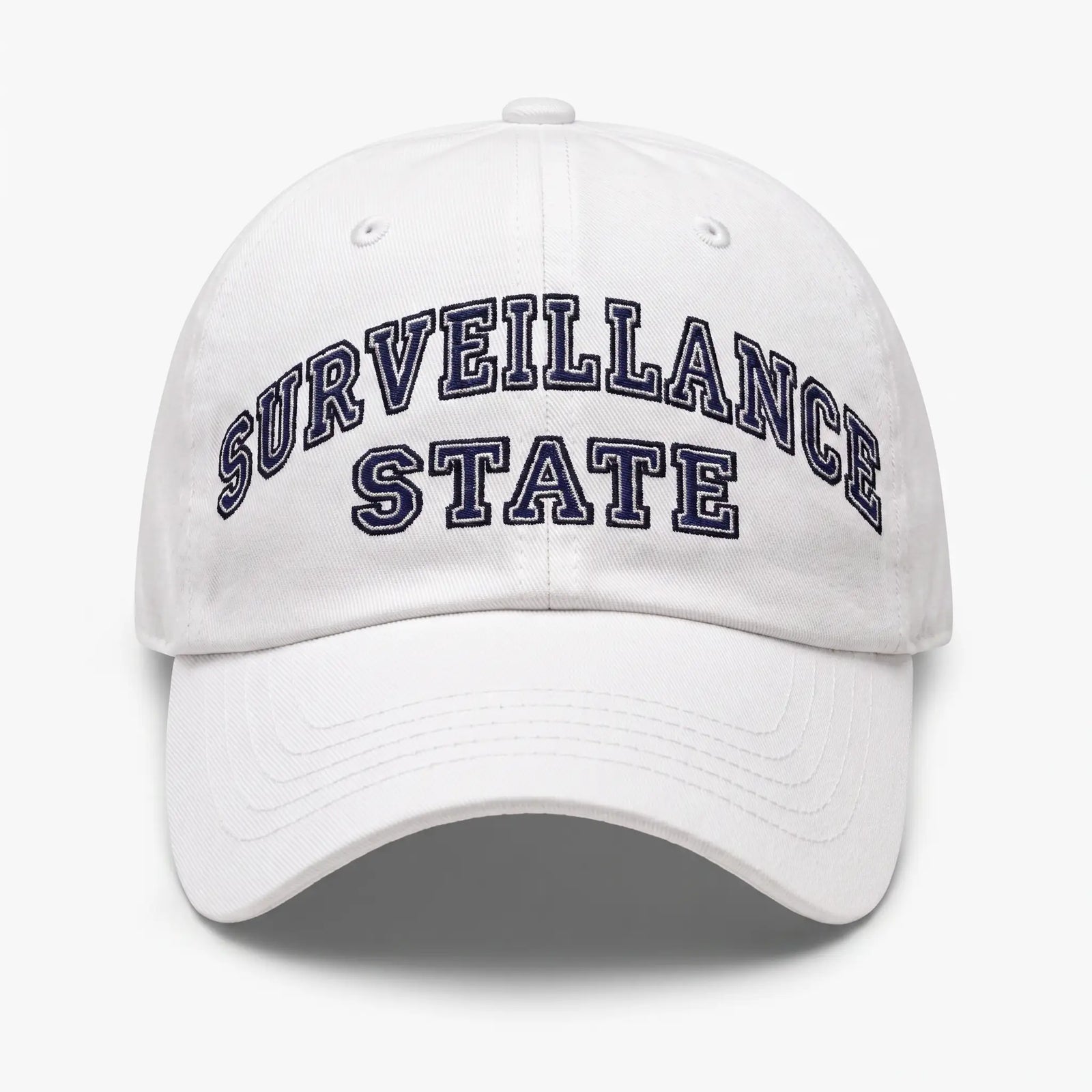 Surveillance State Twill Hat