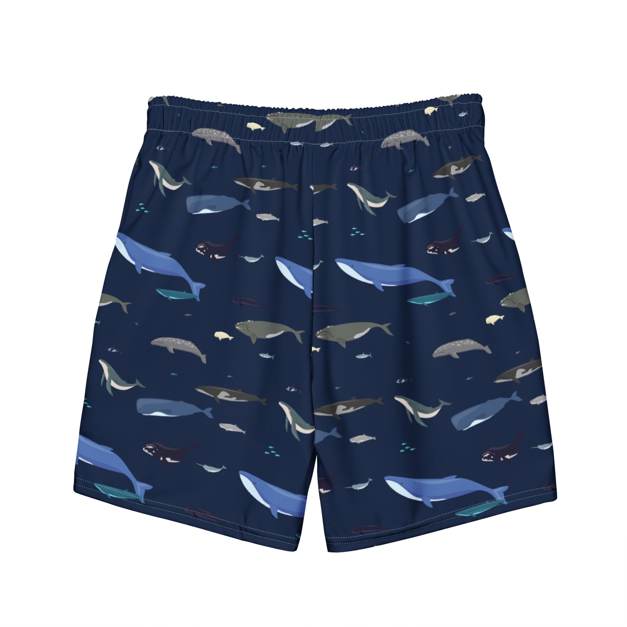 Whales Men's Swim Trunks