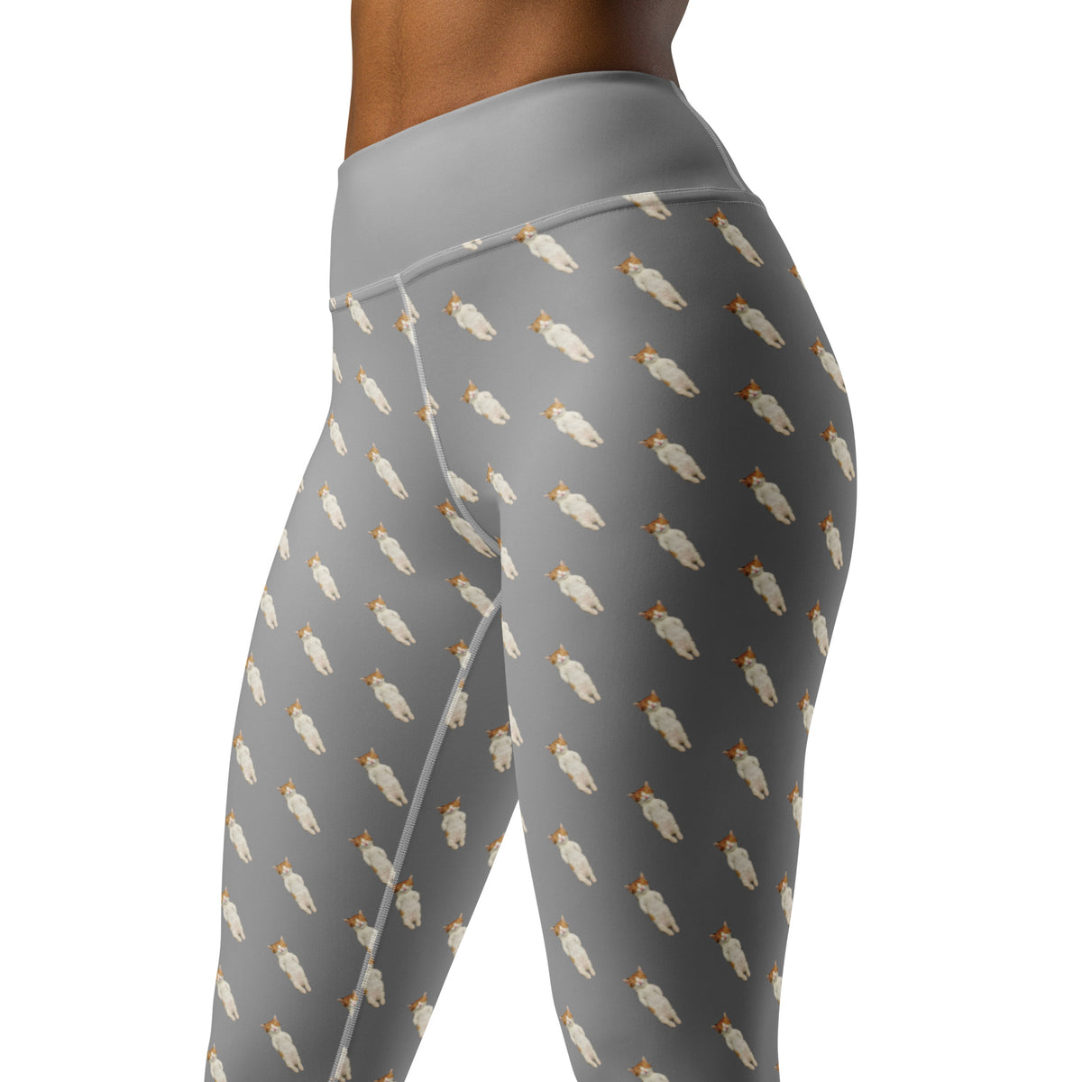 Napping Kitten Yoga Leggings