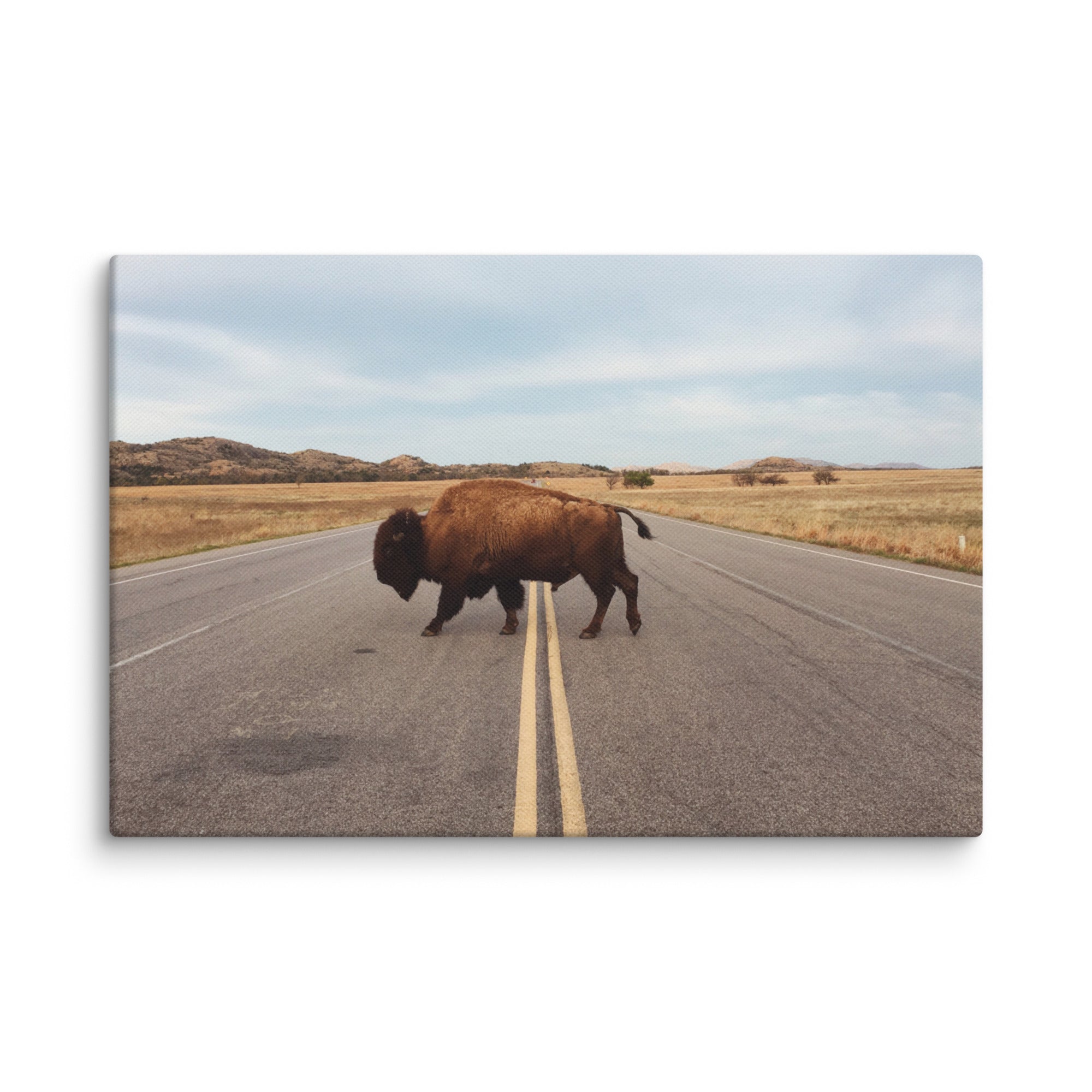 Bison Crossing Gallery Wrapped Canvas