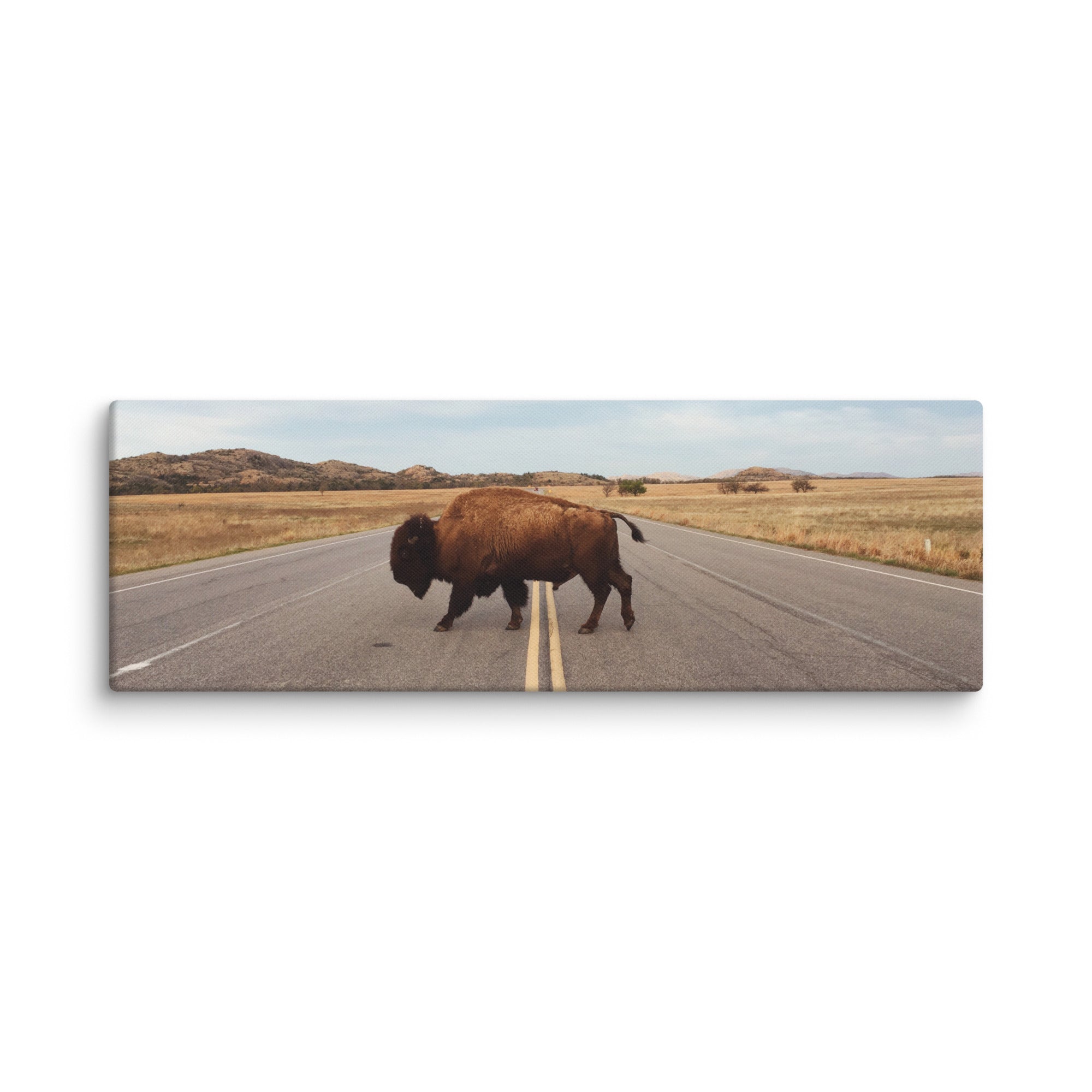 Bison Crossing Gallery Wrapped Canvas