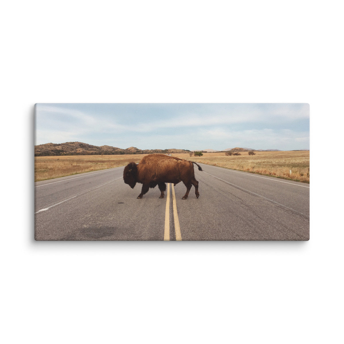 Bison Crossing Gallery Wrapped Canvas