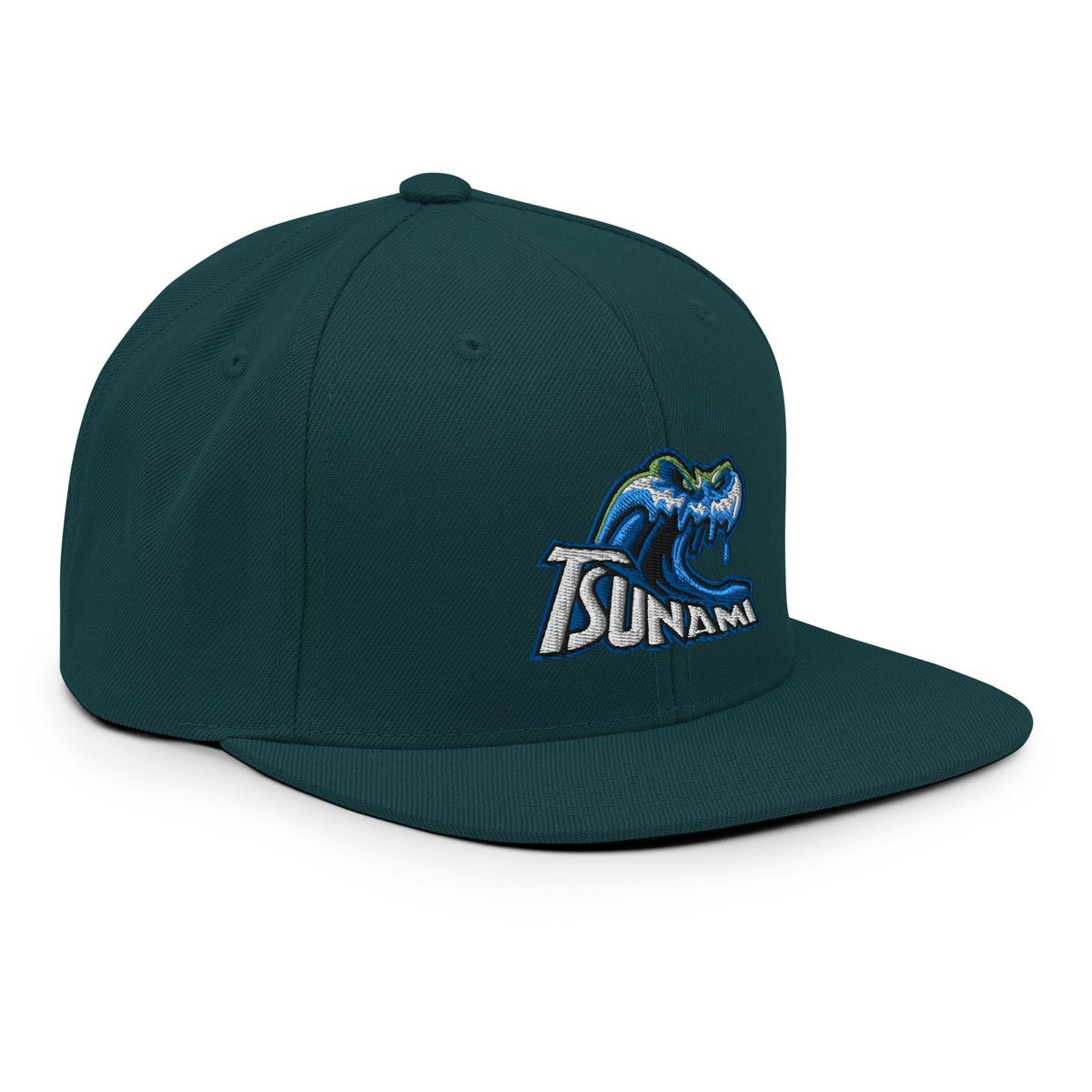 Tsunami Snapback Hat