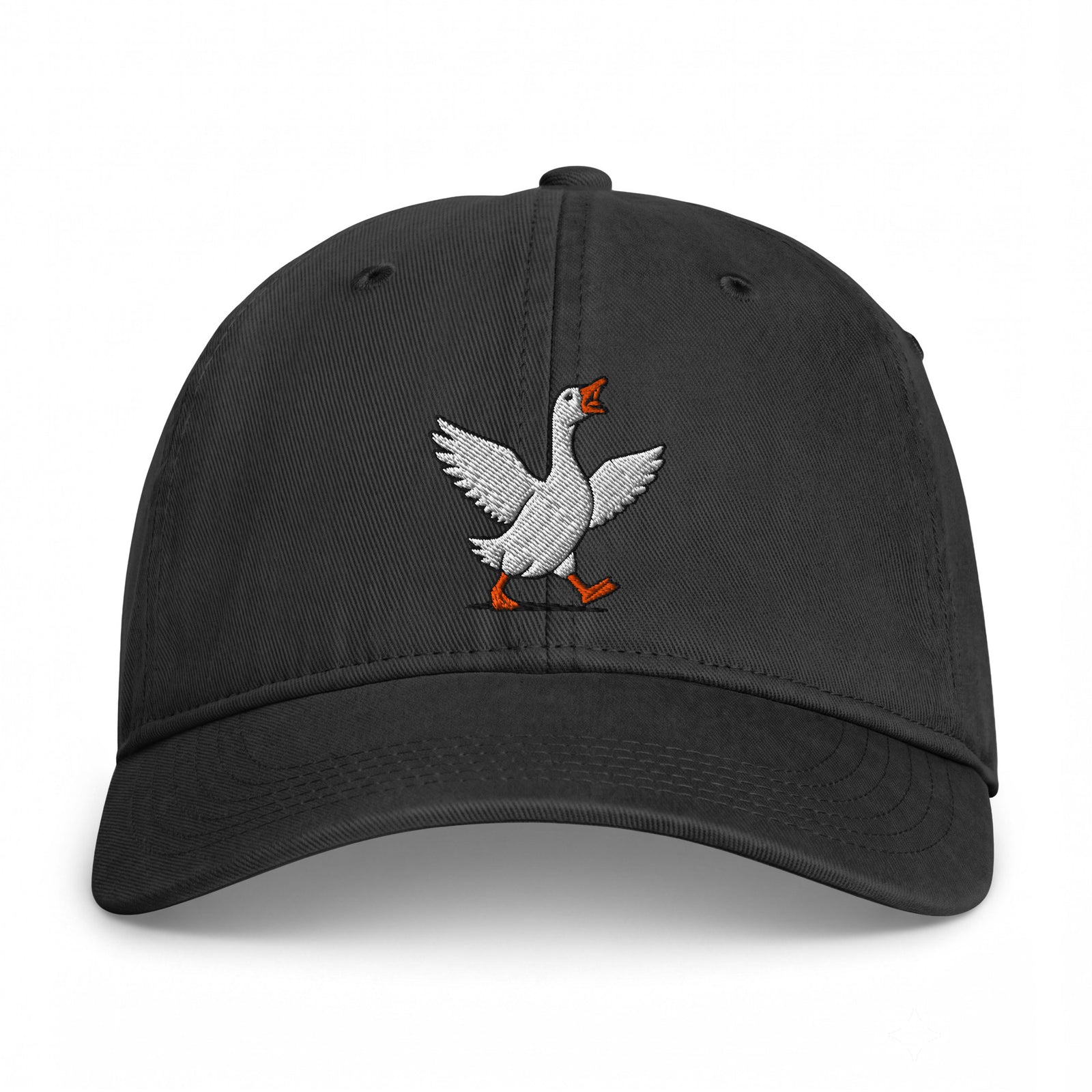 Black Silly Goose embroidered coastal washed cap, front view