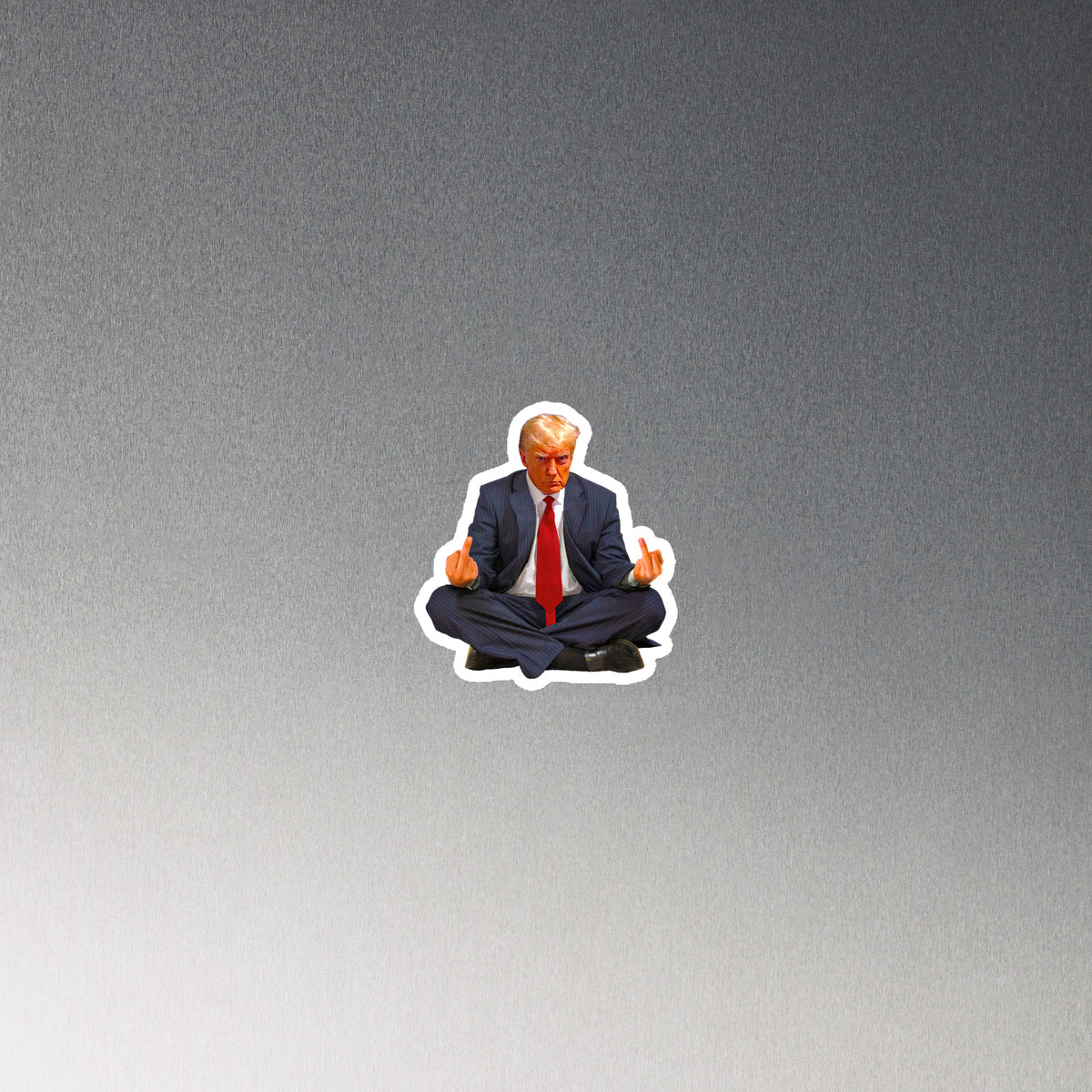 Zen of Trump Mugshot Magnet