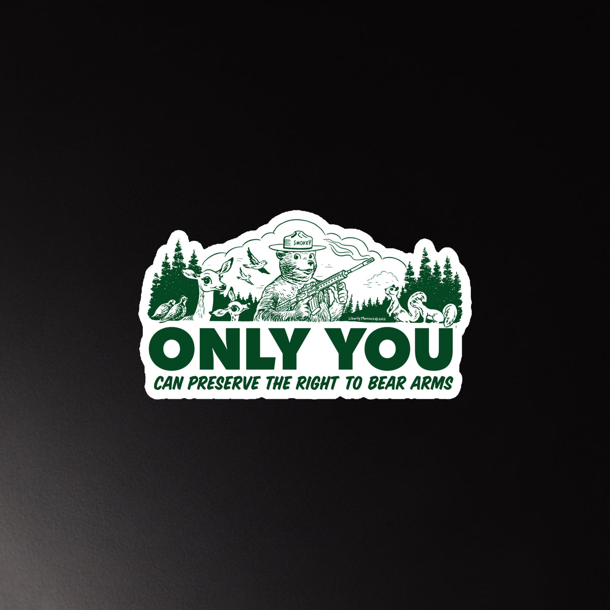 Only You Can Preserve the Right To Bear Arms Magnet