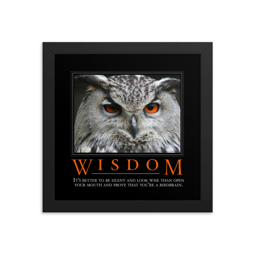 Wisdom Demotivational Framed poster