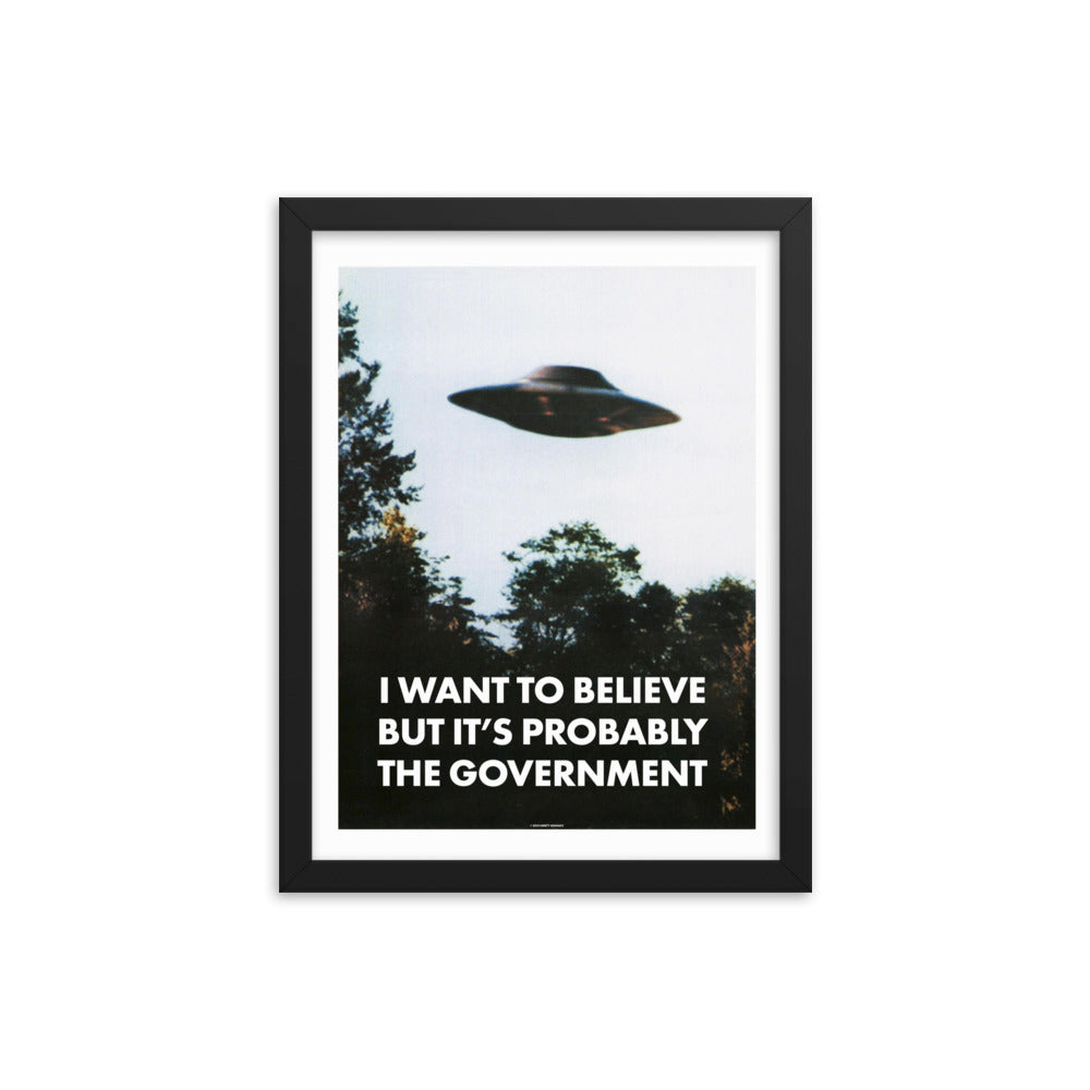 I Want To Believe But It's Probably the Government Framed poster