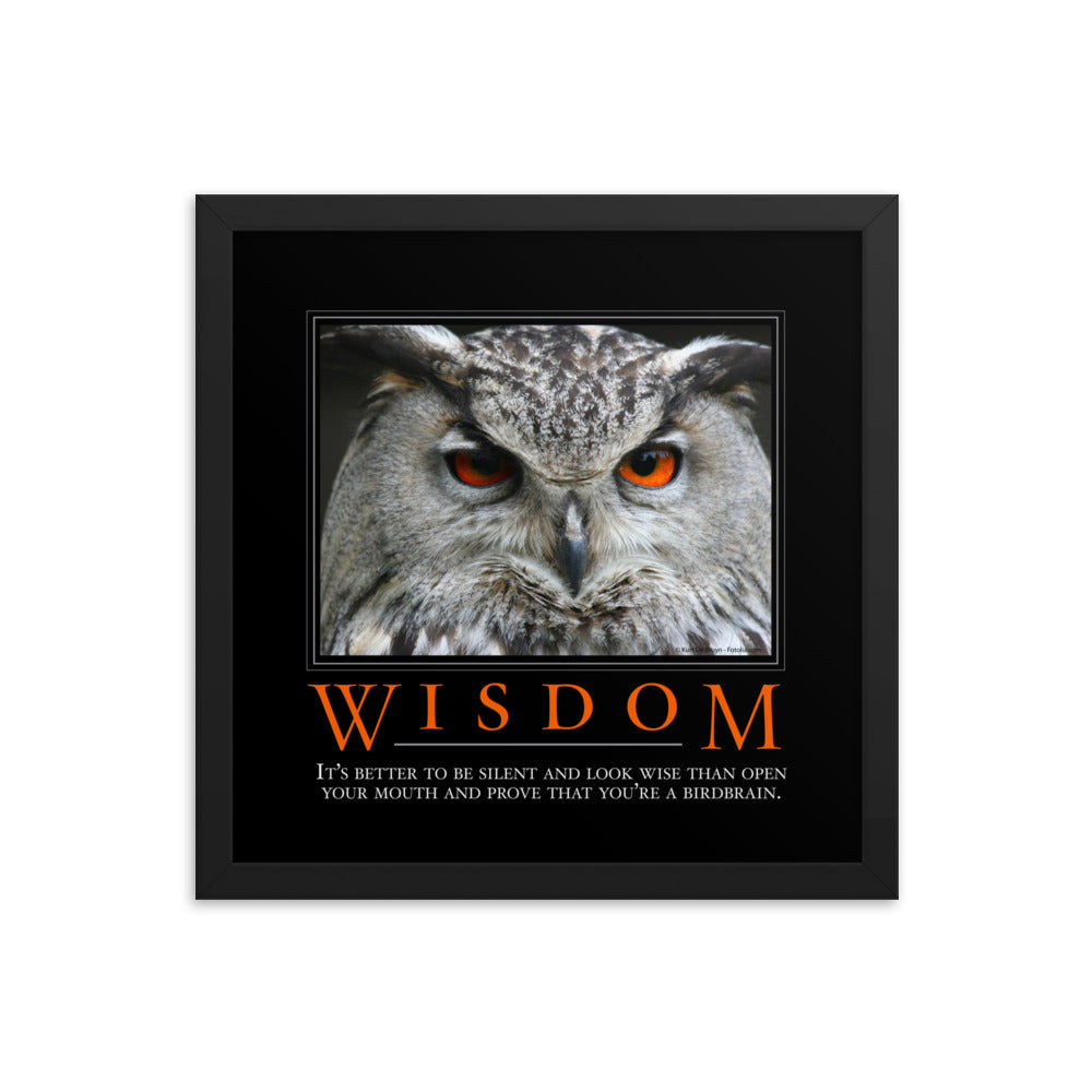 Wisdom Demotivational Framed poster