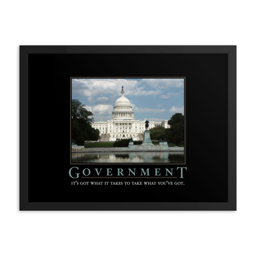 Government Demotivational Framed Print