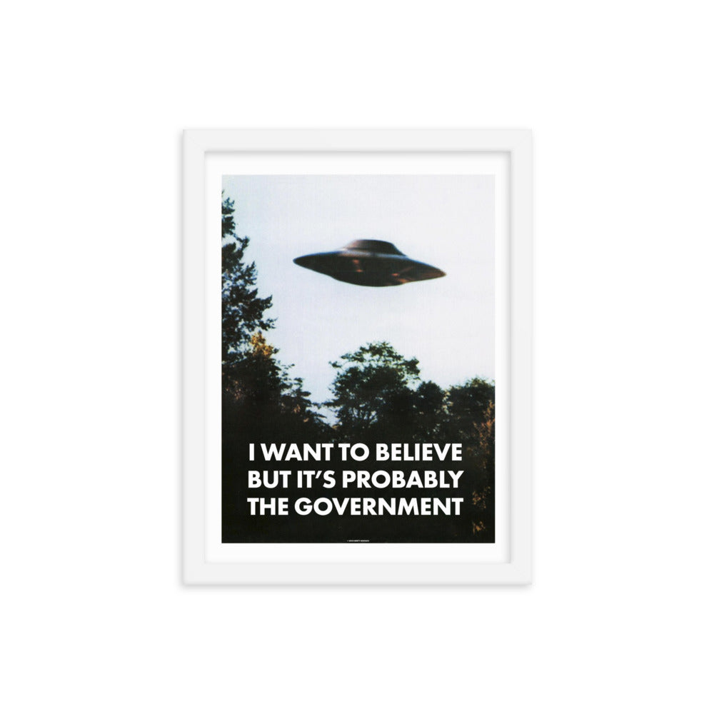 I Want To Believe But It&#39;s Probably the Government Framed poster