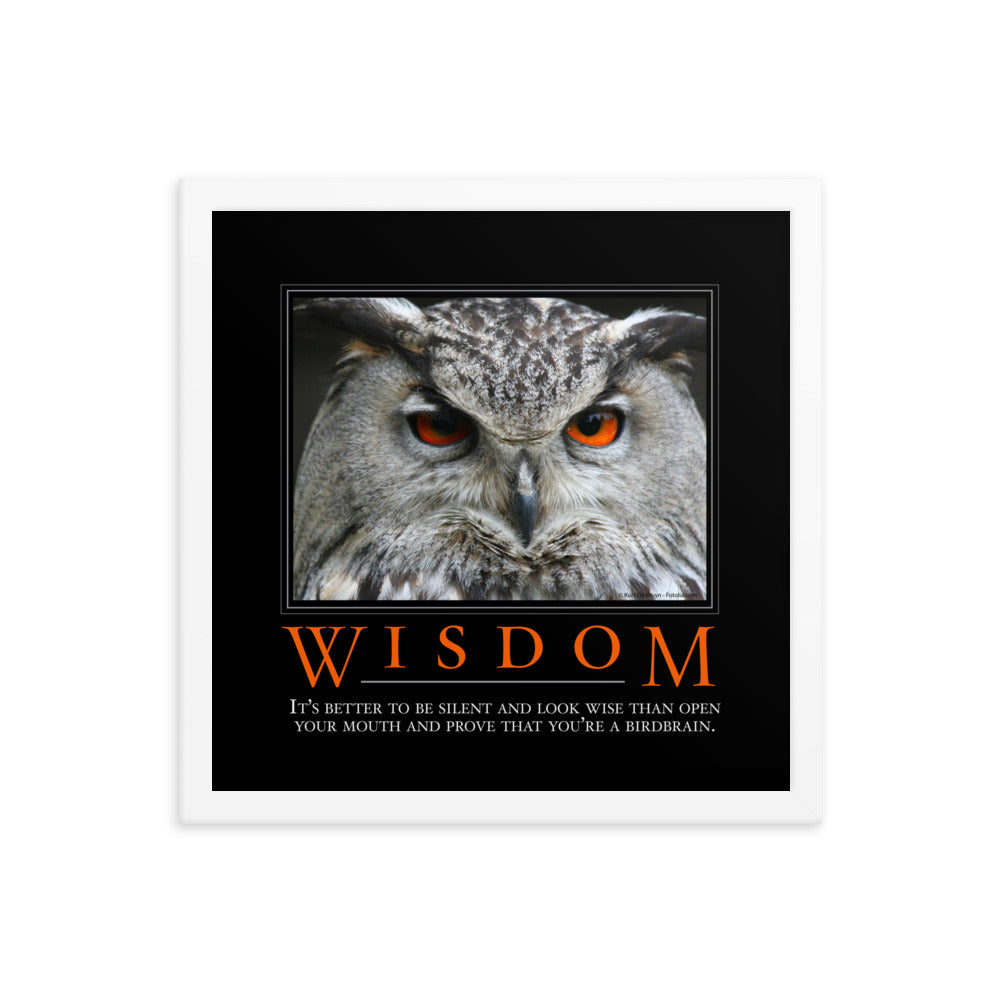 Wisdom Demotivational Framed poster