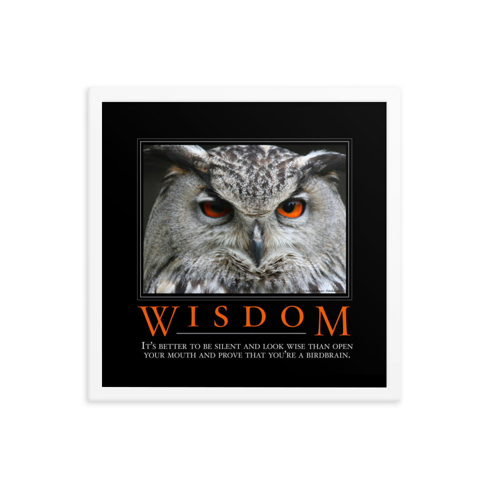 Wisdom Demotivational Framed poster