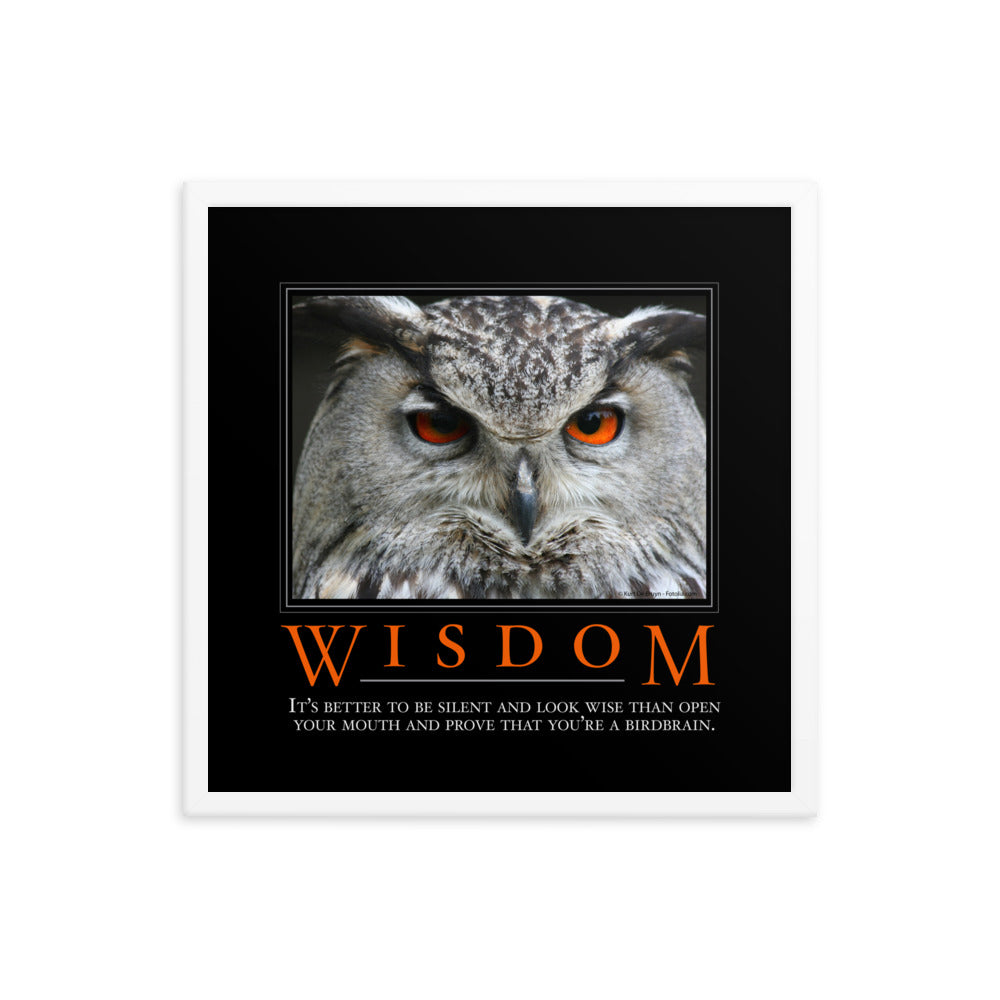 Wisdom Demotivational Framed poster