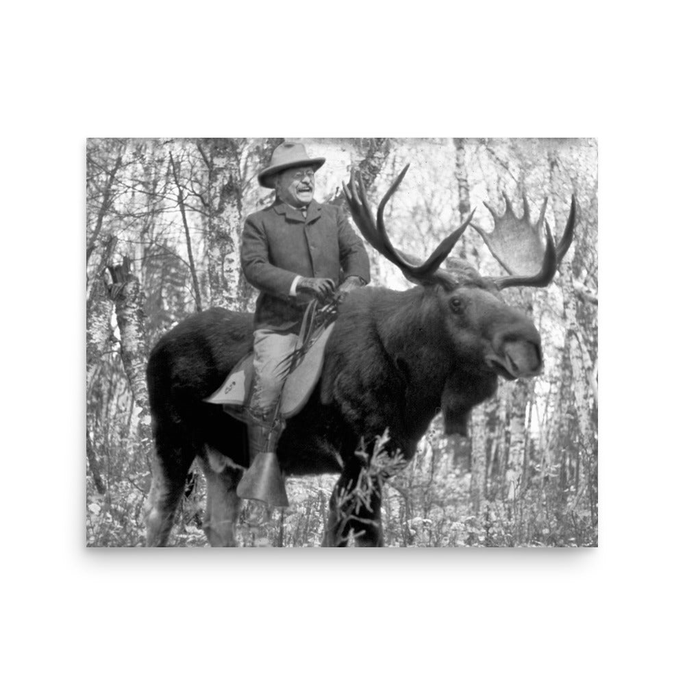 Teddy Roosevelt Riding A Bull Moose Posters