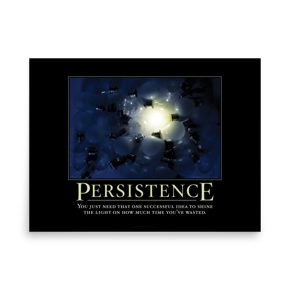 Persistence Demotivational Print