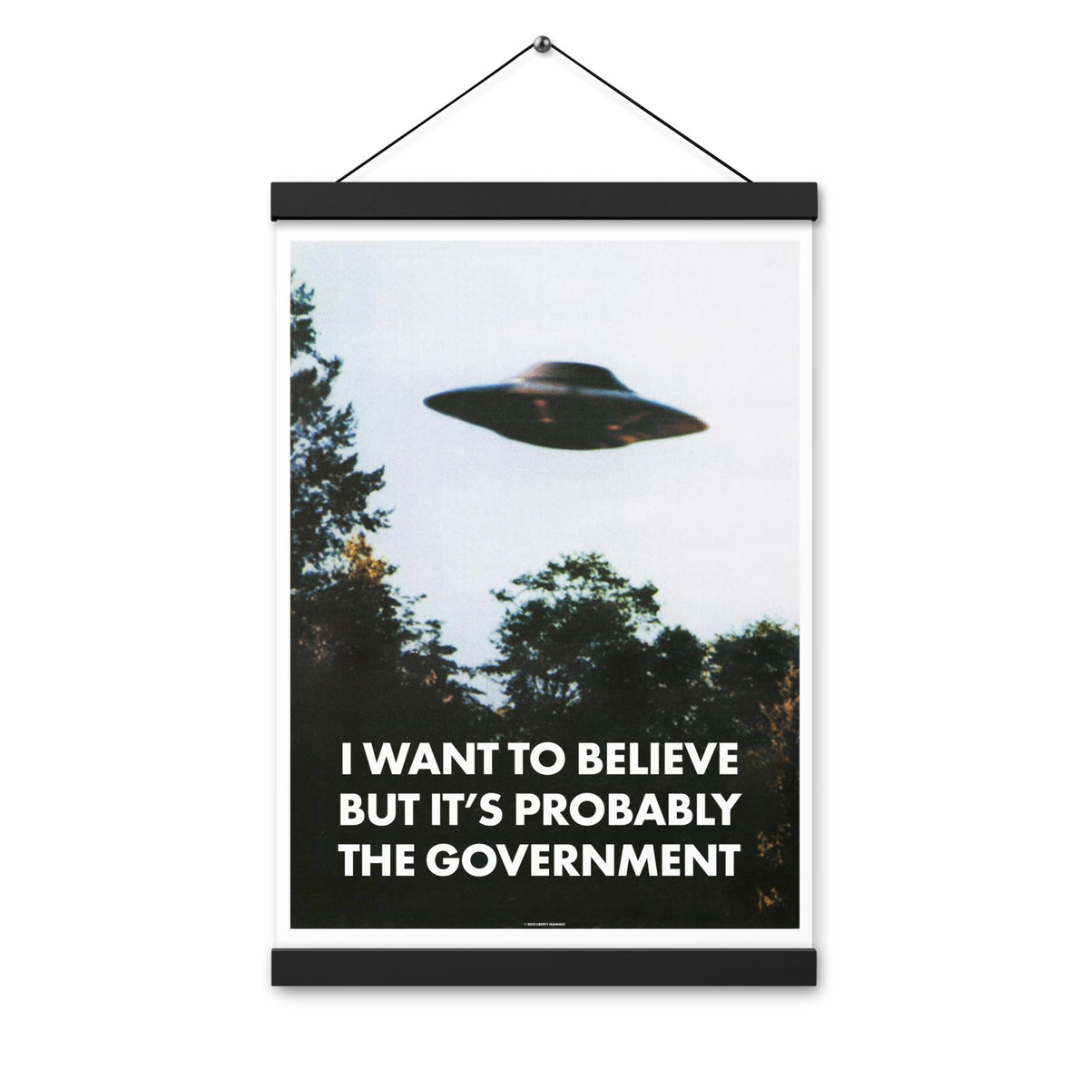 I Want To Believe But It&#39;s Probably the Government Poster with Hangers