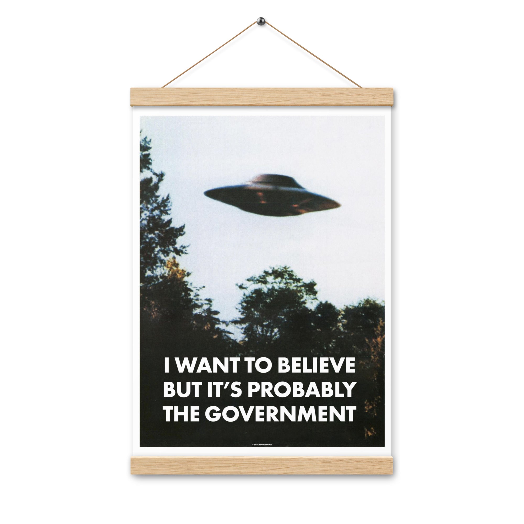 I Want To Believe But It's Probably the Government Poster with Hangers