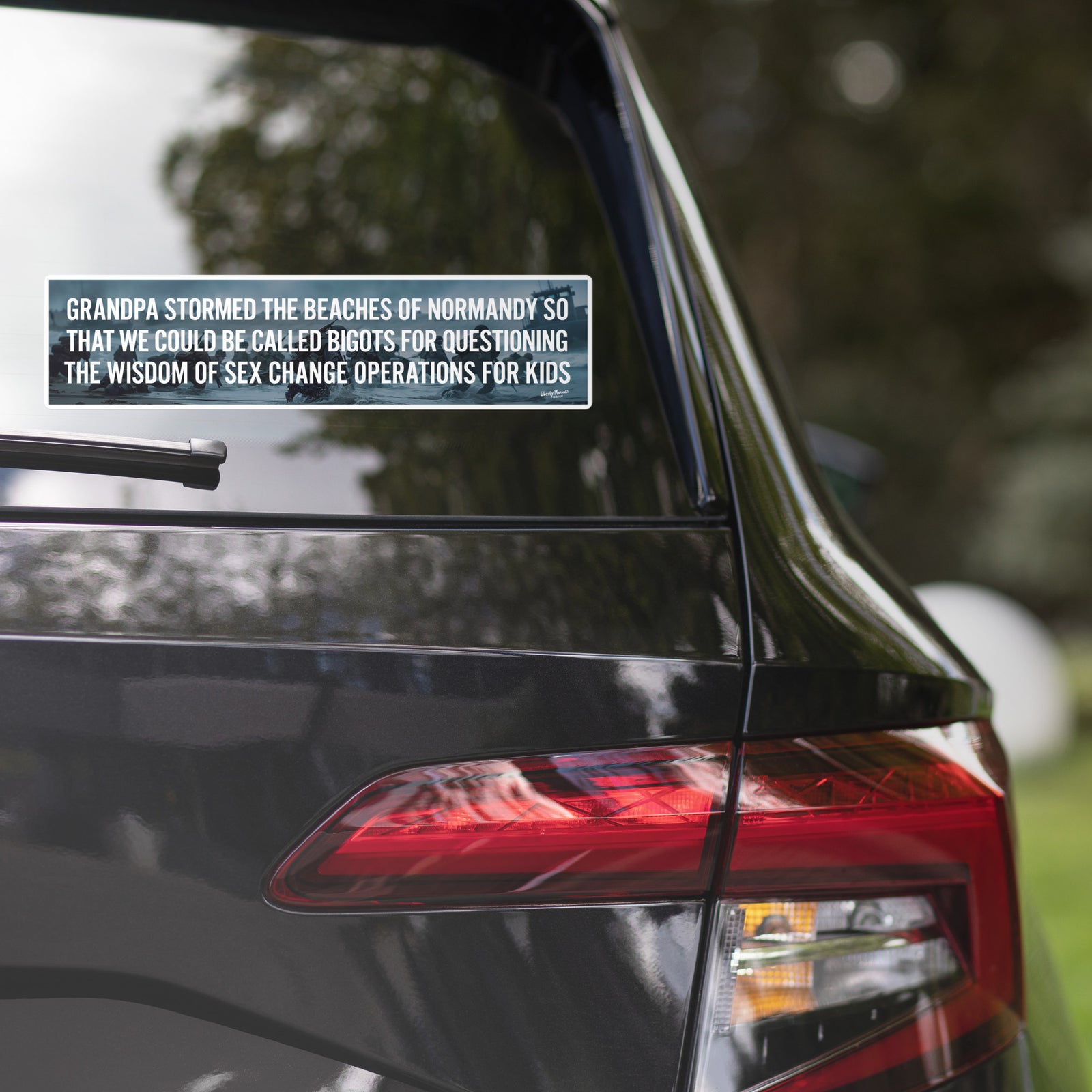 Grandpa Stormed Normandy Bumper Sticker