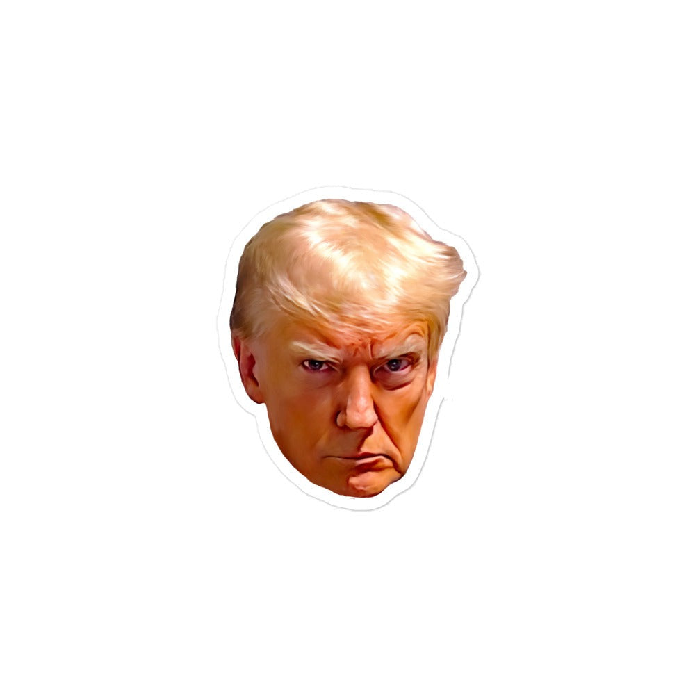 Trump Mugshot Head Sticker