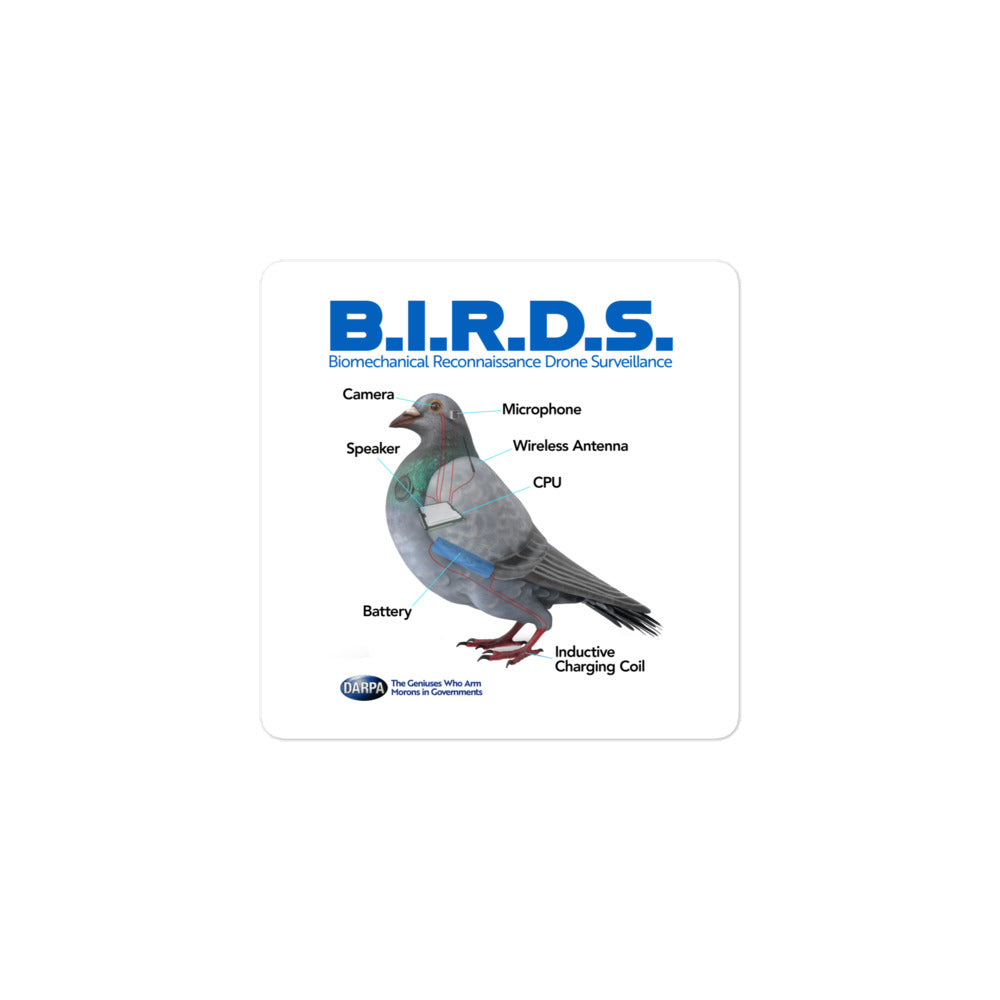B.I.R.D.S. Biomechanical Reconnaissance Drone Surveillance Sticker