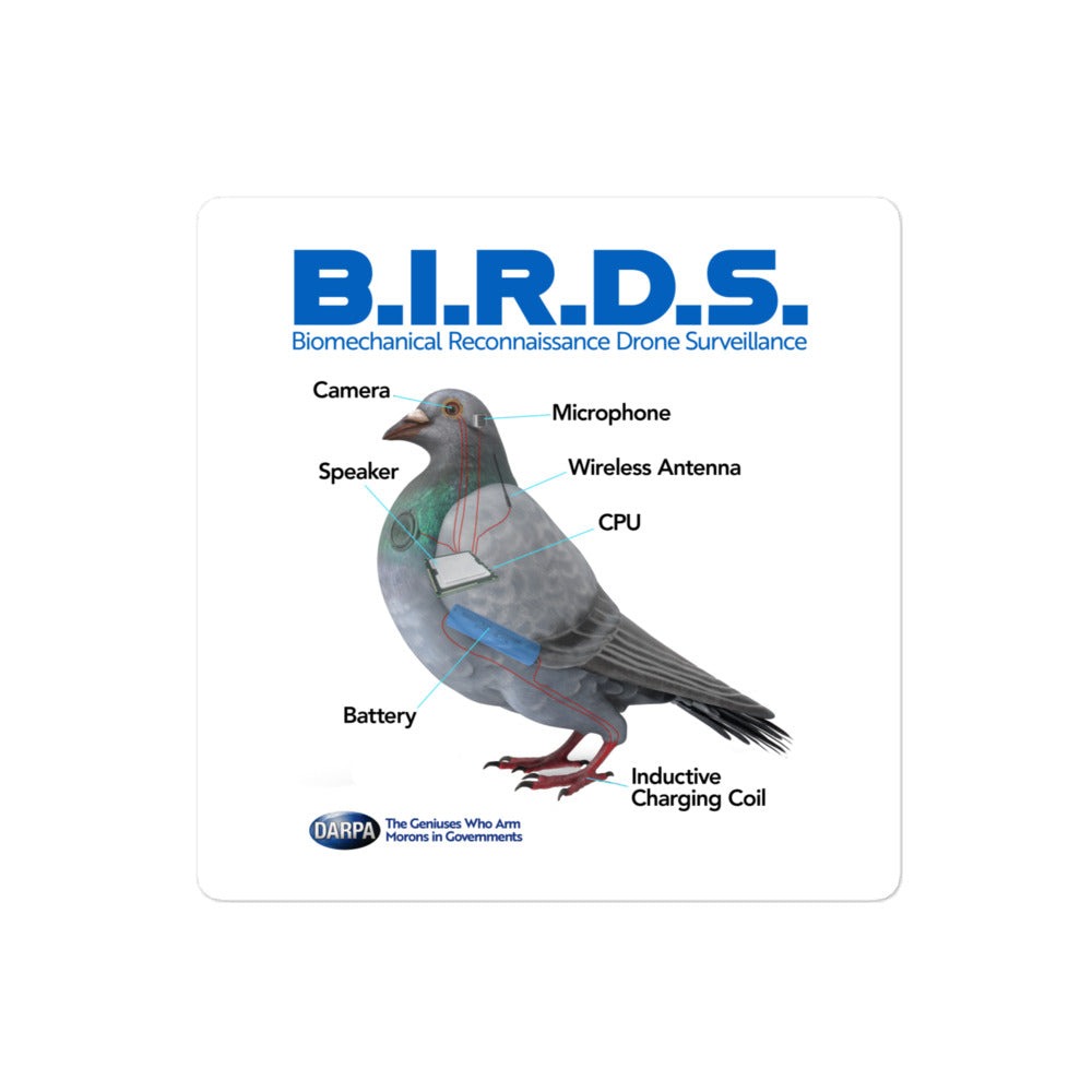B.I.R.D.S. Biomechanical Reconnaissance Drone Surveillance Sticker