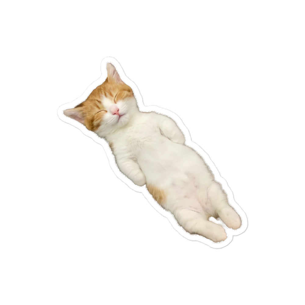 Napping Kitten Sticker
