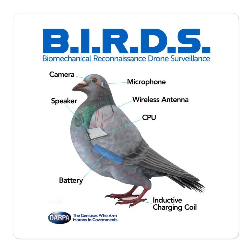 B.I.R.D.S. Biomechanical Reconnaissance Drone Surveillance Sticker