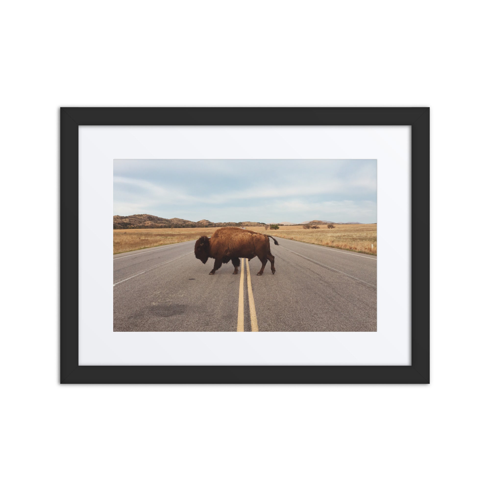 Bison Crossing Framed Art Print With Mat Framed Art Print