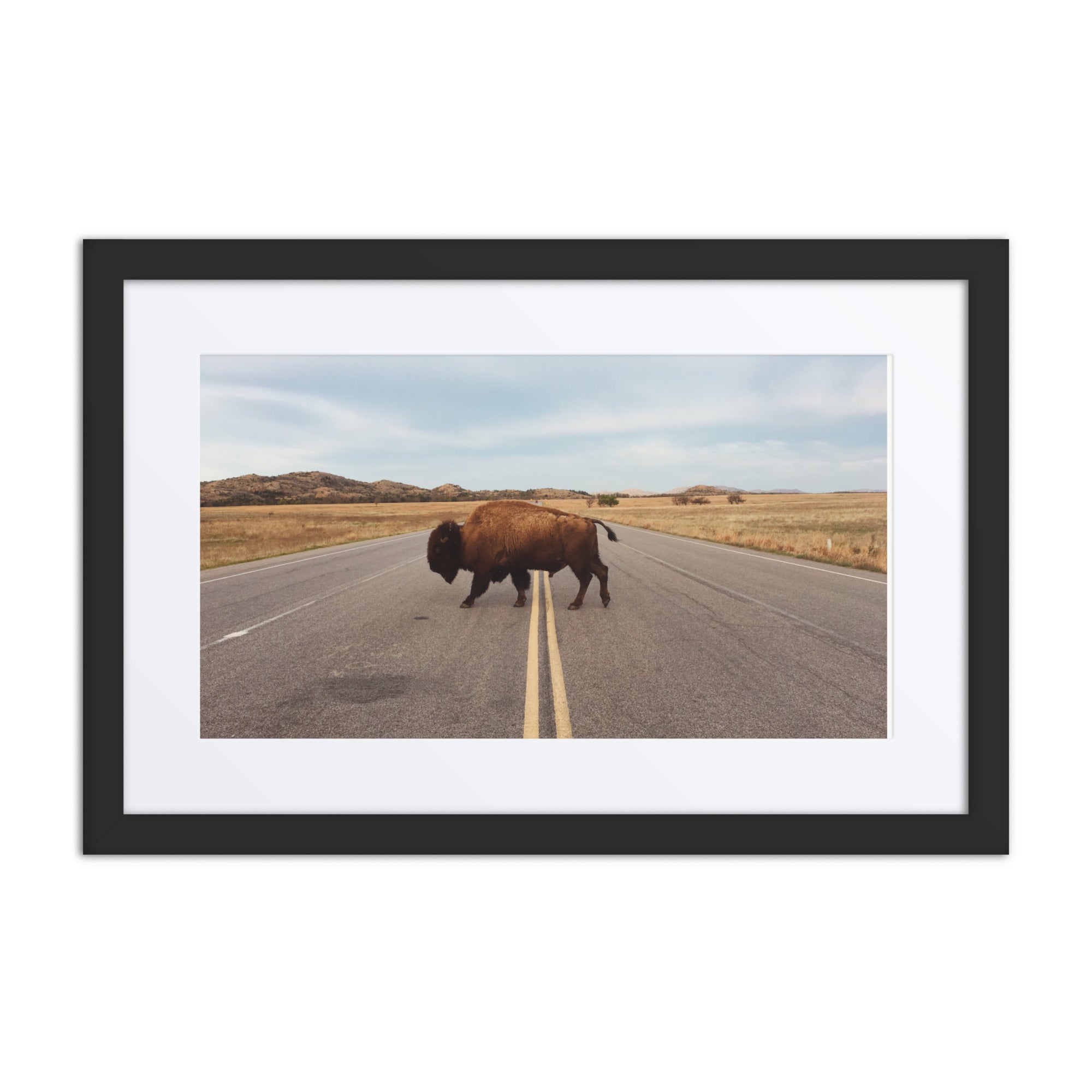 Bison Crossing Framed Art Print With Mat Framed Art Print