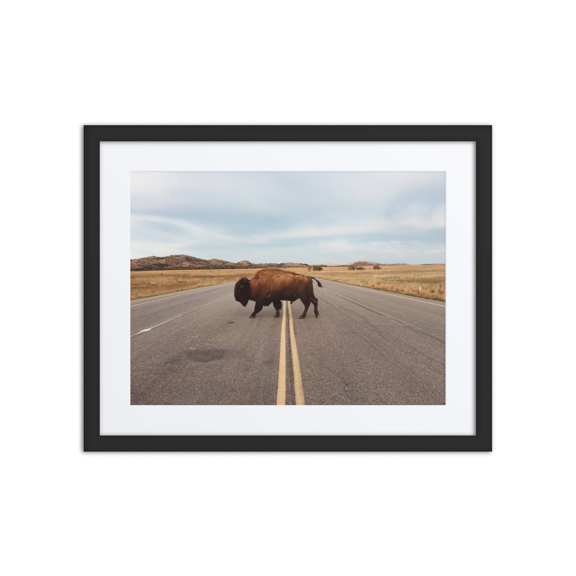 Bison Crossing Framed Art Print With Mat Framed Art Print