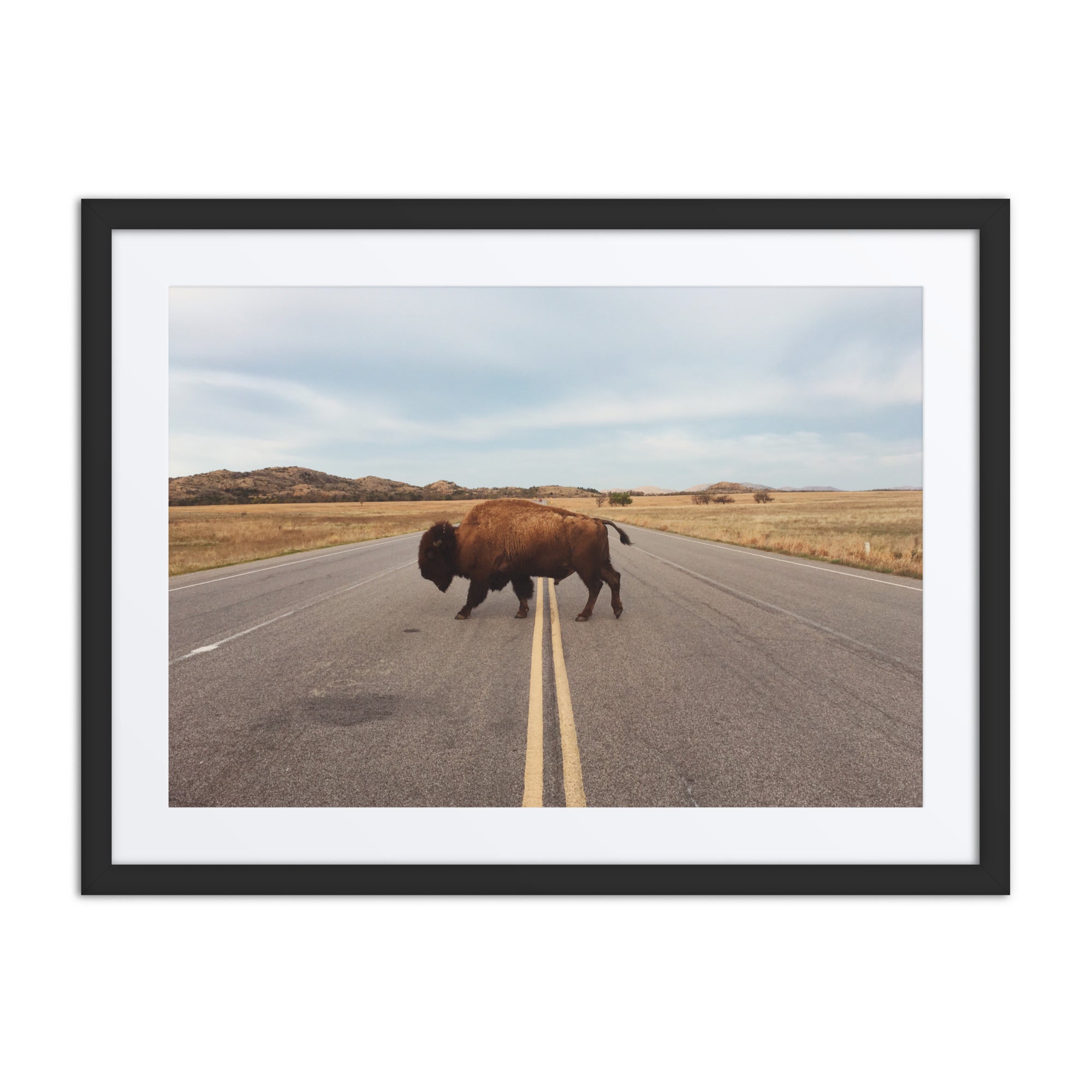 Bison Crossing Framed Art Print With Mat Framed Art Print