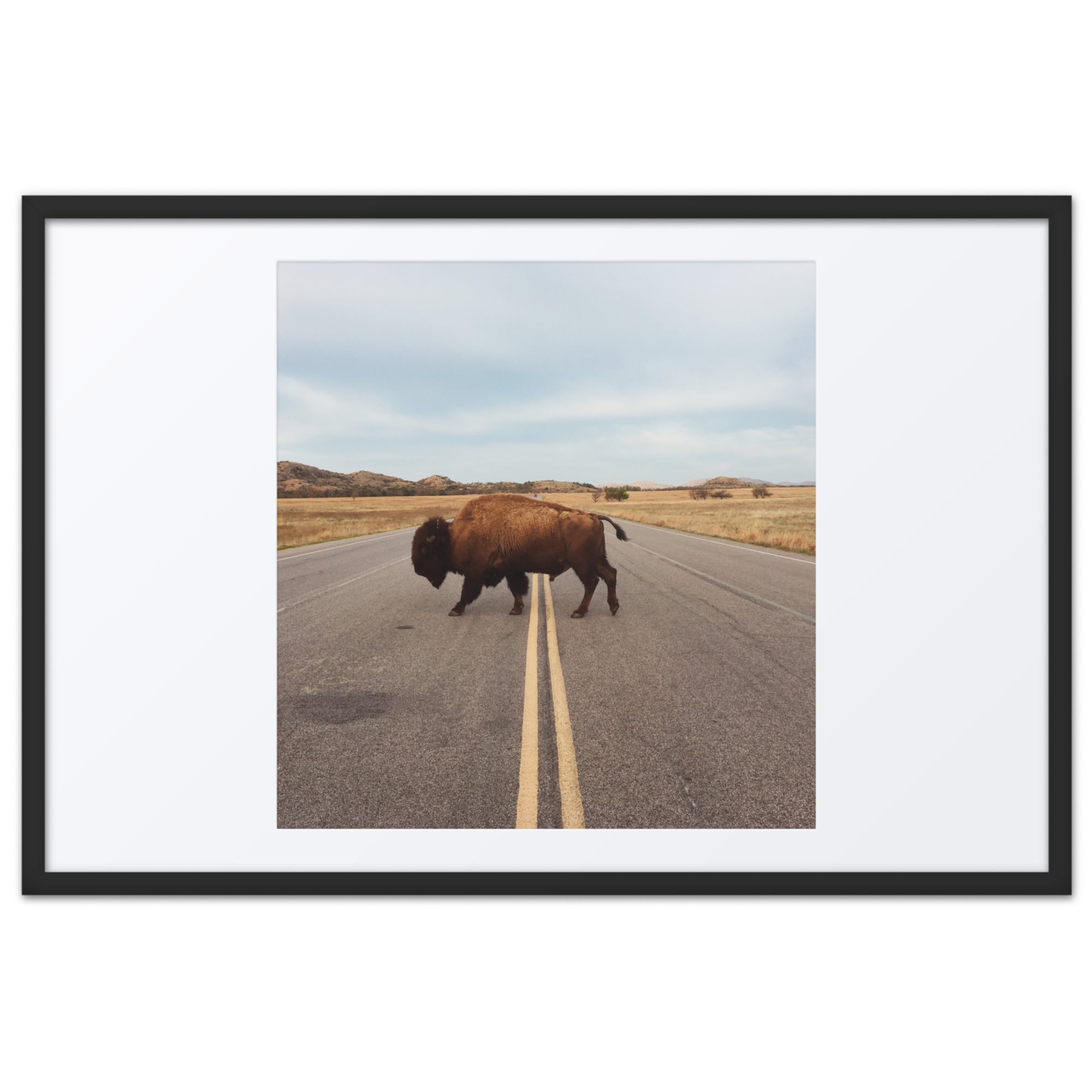 Bison Crossing Framed Art Print With Mat Framed Art Print