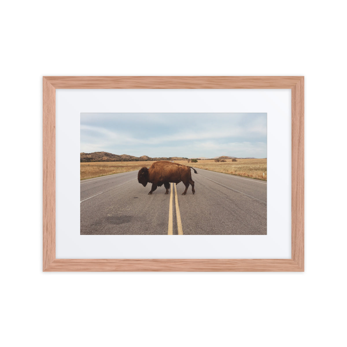 Bison Crossing Framed Art Print With Mat Framed Art Print