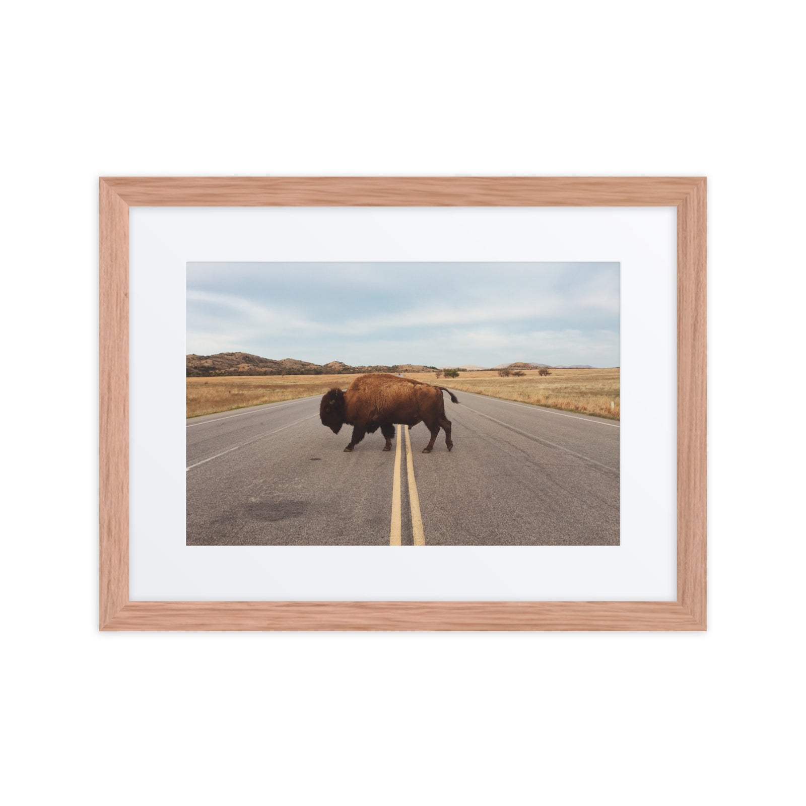 Bison Crossing Framed Art Print With Mat Framed Art Print