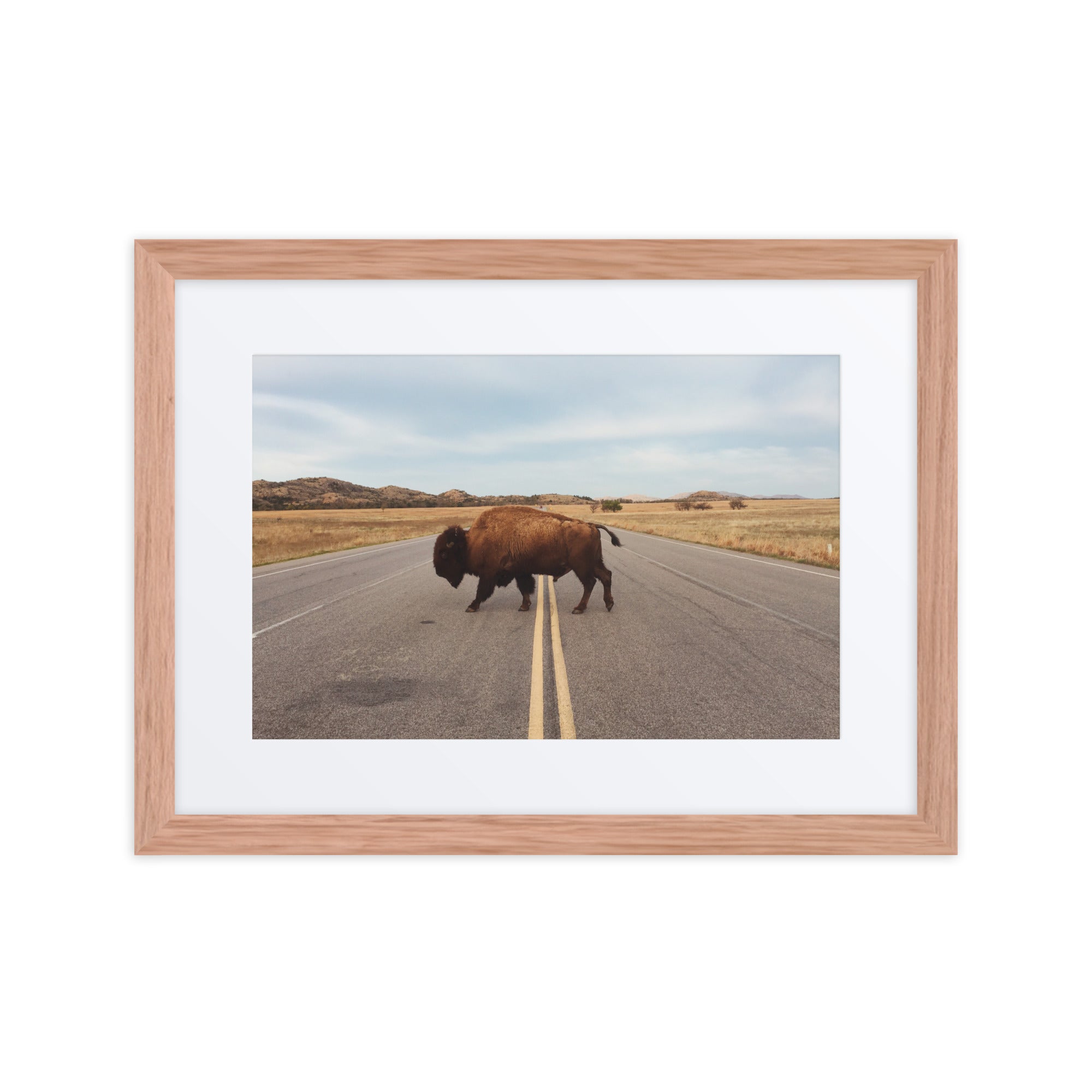 Bison Crossing Framed Art Print With Mat Framed Art Print