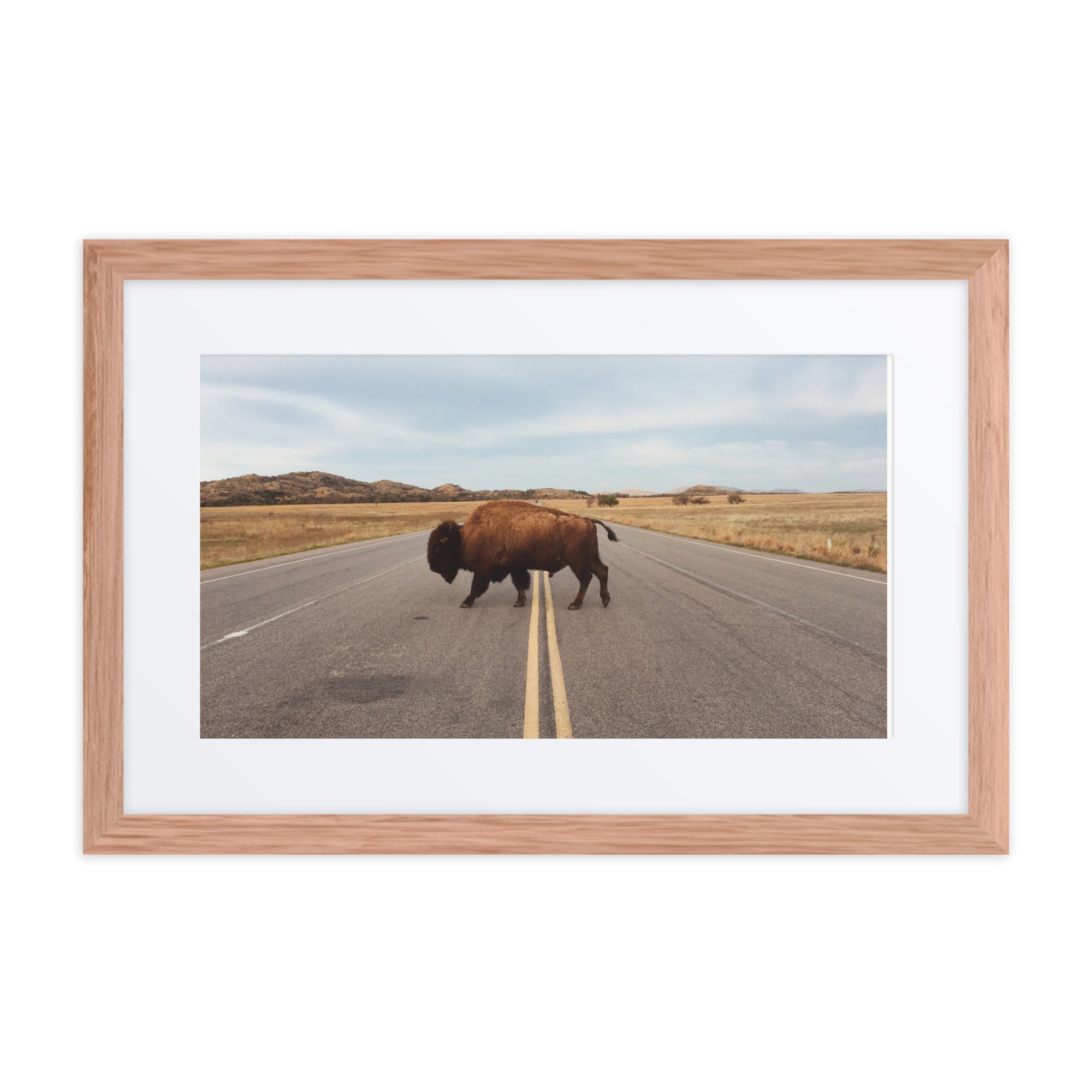 Bison Crossing Framed Art Print With Mat Framed Art Print