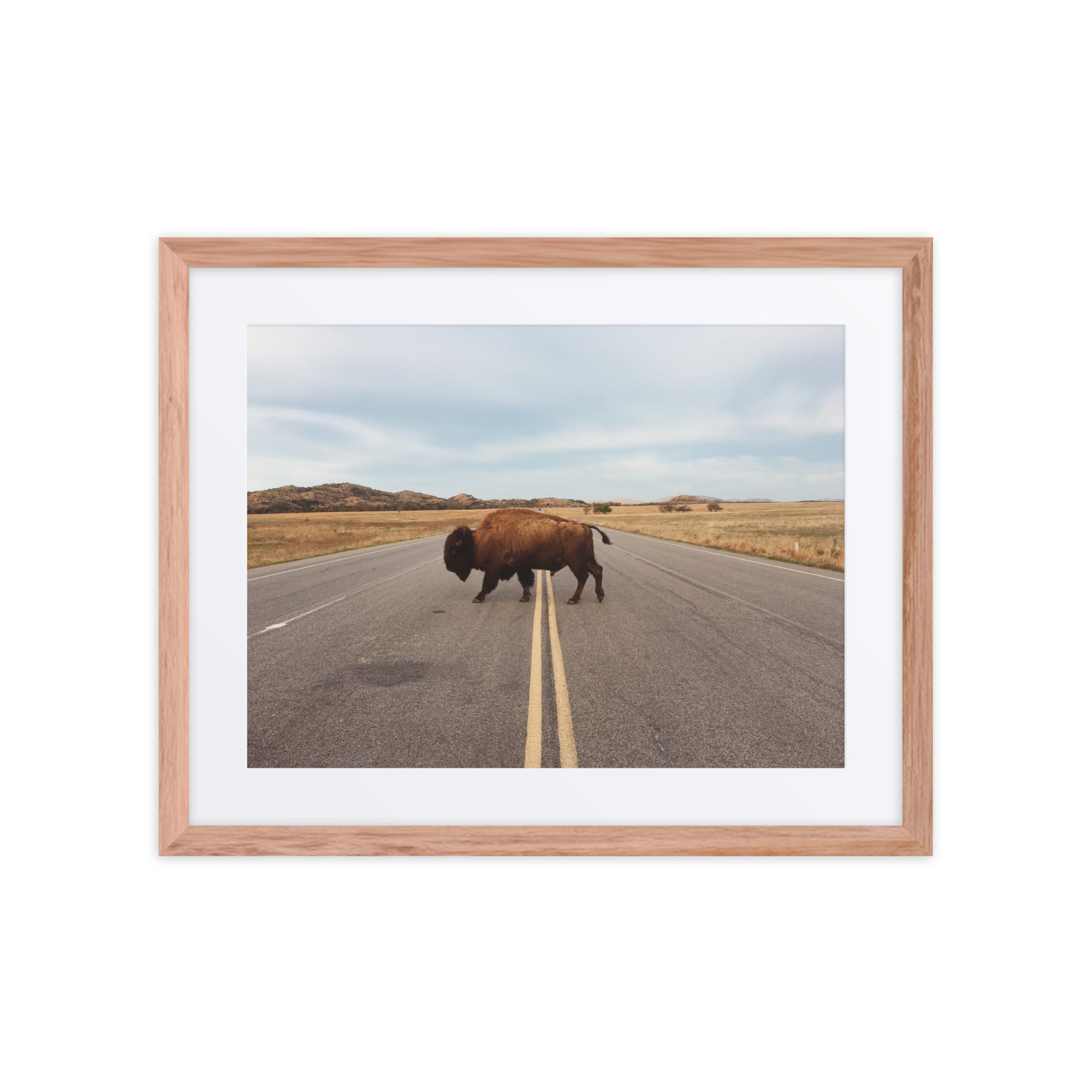 Bison Crossing Framed Art Print With Mat Framed Art Print