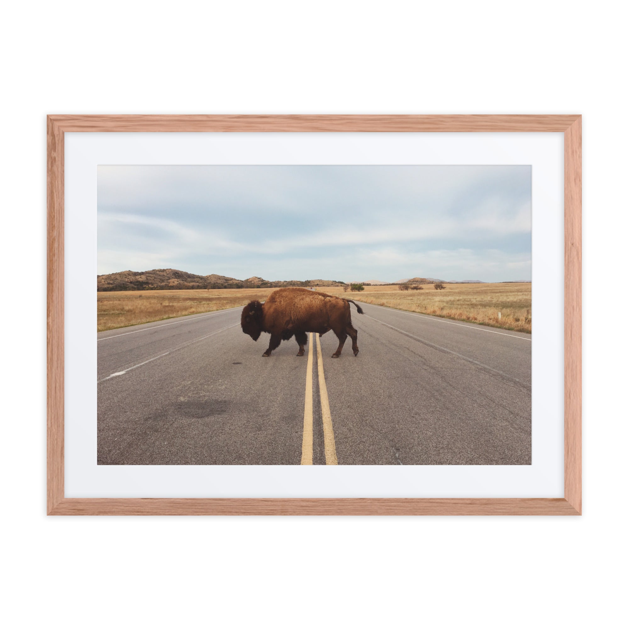 Bison Crossing Framed Art Print With Mat Framed Art Print