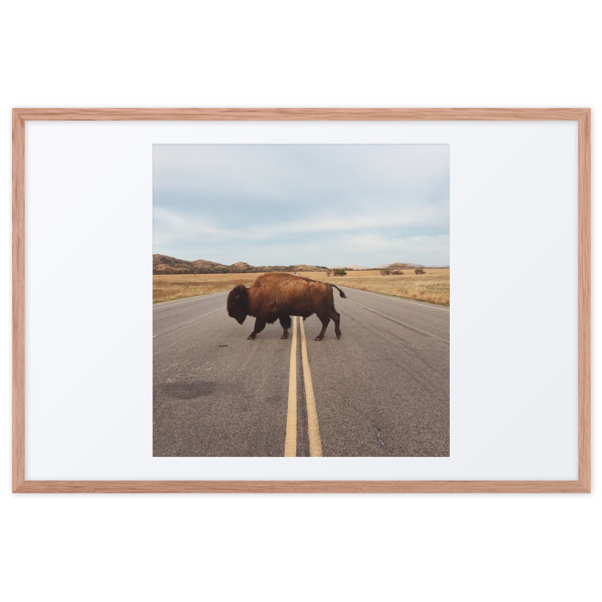 Bison Crossing Framed Art Print With Mat Framed Art Print