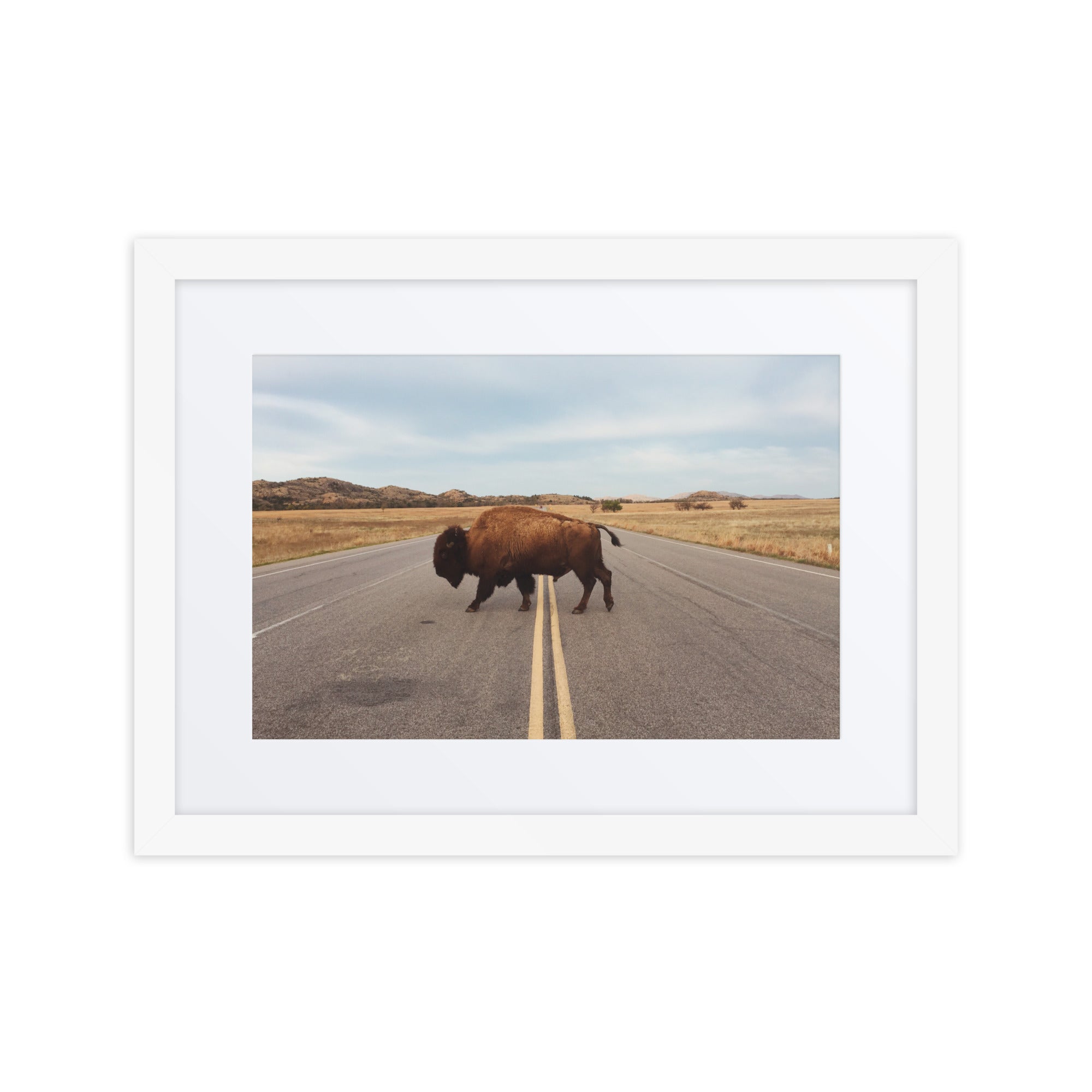 Bison Crossing Framed Art Print With Mat Framed Art Print