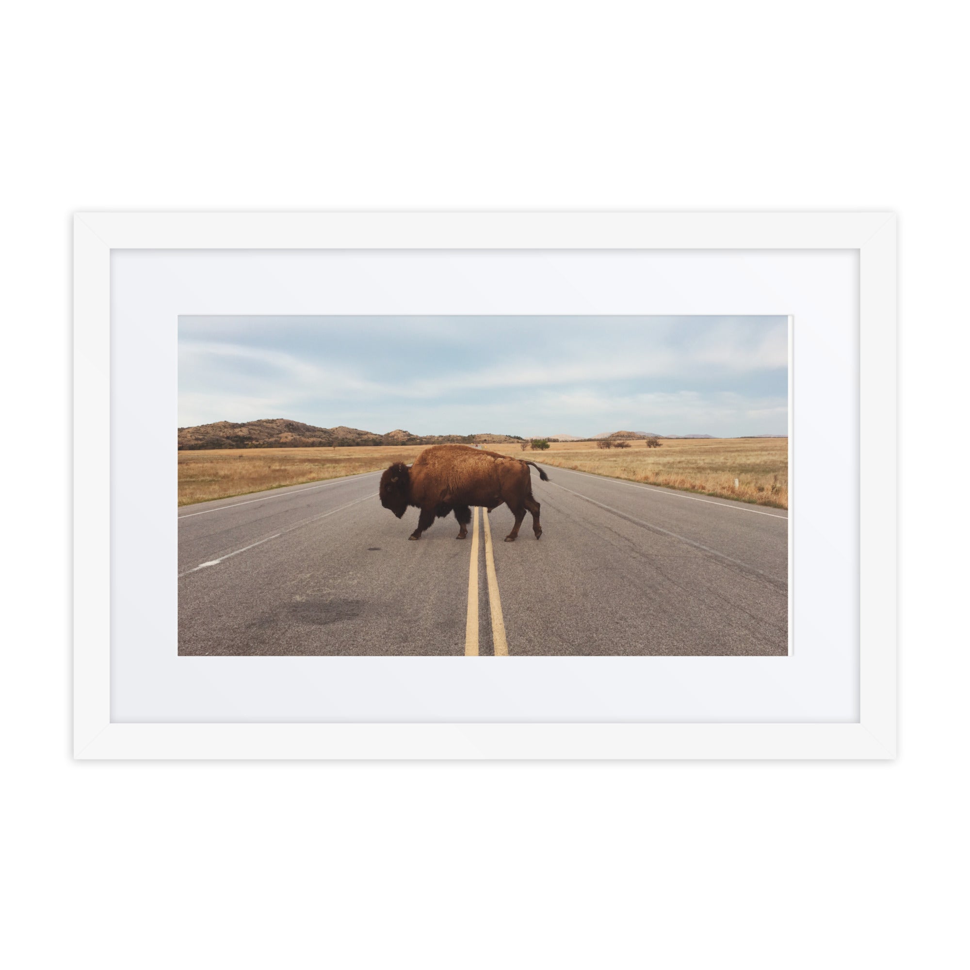 Bison Crossing Framed Art Print With Mat Framed Art Print