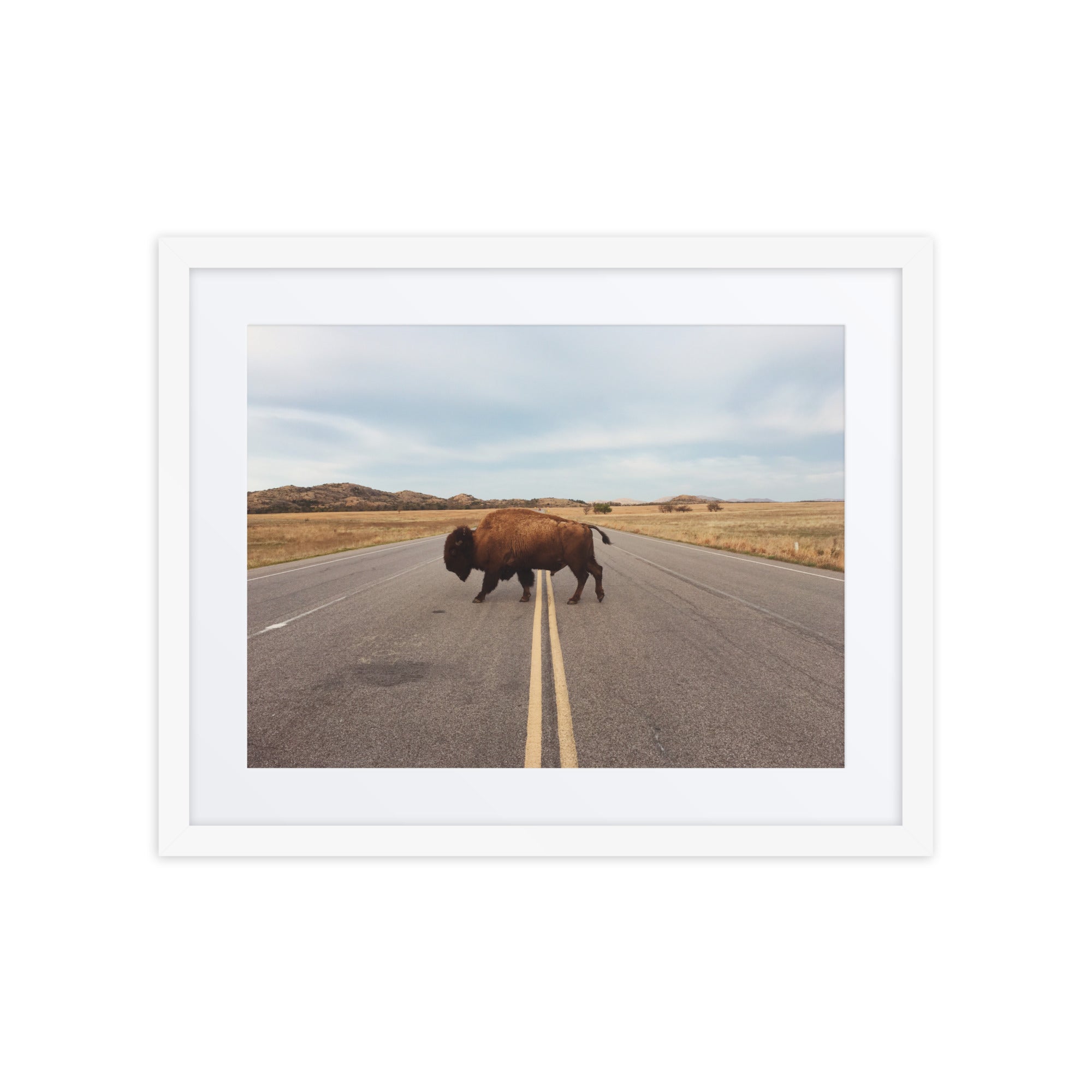 Bison Crossing Framed Art Print With Mat Framed Art Print